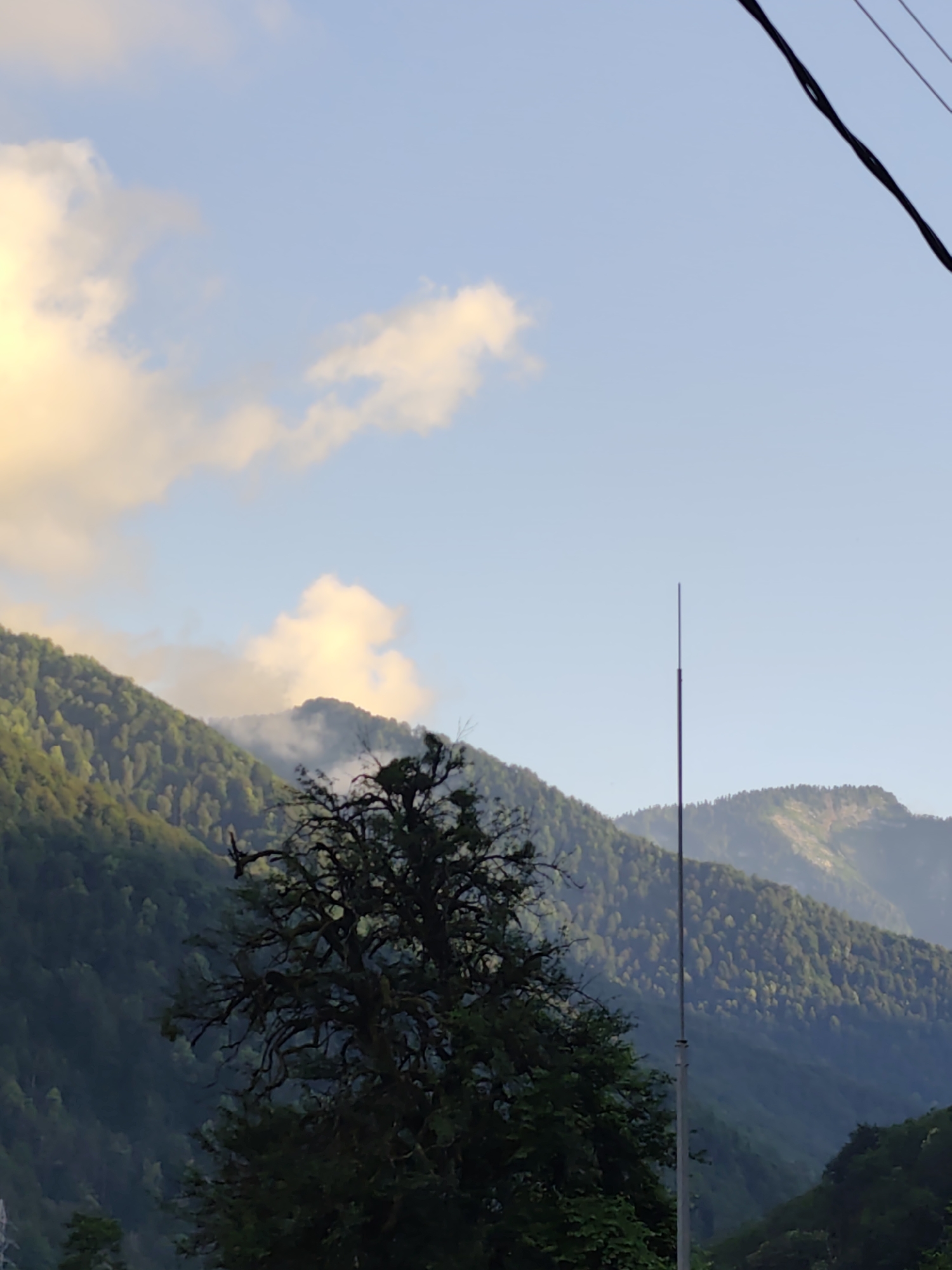 The media file depicts a scenic mountain landscape under a clear blue sky, with scattered clouds illuminated by the sun. The mountains are covered in dense green forests, with some areas showing lighter patches suggesting sunlight filtering through. Wisps of mist or fog are visible around some of the mountain peaks, hinting at a moist environment.
In the foreground, a large, gnarled tree with dark branches dominates the left side of the frame. Further to the right, a tall, slender pole extends vertically into the sky, possibly a utility pole or antenna. The upper right corner of the image shows dark electrical wires stretching across the frame.
The lighting suggests it is either early morning or late afternoon, with warm light hitting the clouds and mountains. The overall mood is peaceful and serene, emphasizing the natural beauty of the location. The context provided places this scene in Krasnaya Polyana, Russia, known for its mountainous terrain and natural beauty. There is no visible text in the image.