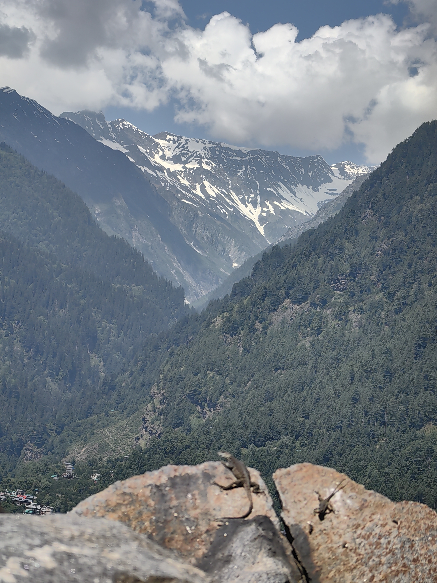 A view from a rocky foreground looks out over a valley filled with dense green trees, leading to a distant mountain range capped with snow. The sky above is a mix of blue and white clouds. In the foreground, two small lizards are visible on a large, split rock. In the valley, a small cluster of buildings with red roofs can be seen nestled amongst the trees. This scene is located in the village of Vashisht, India.