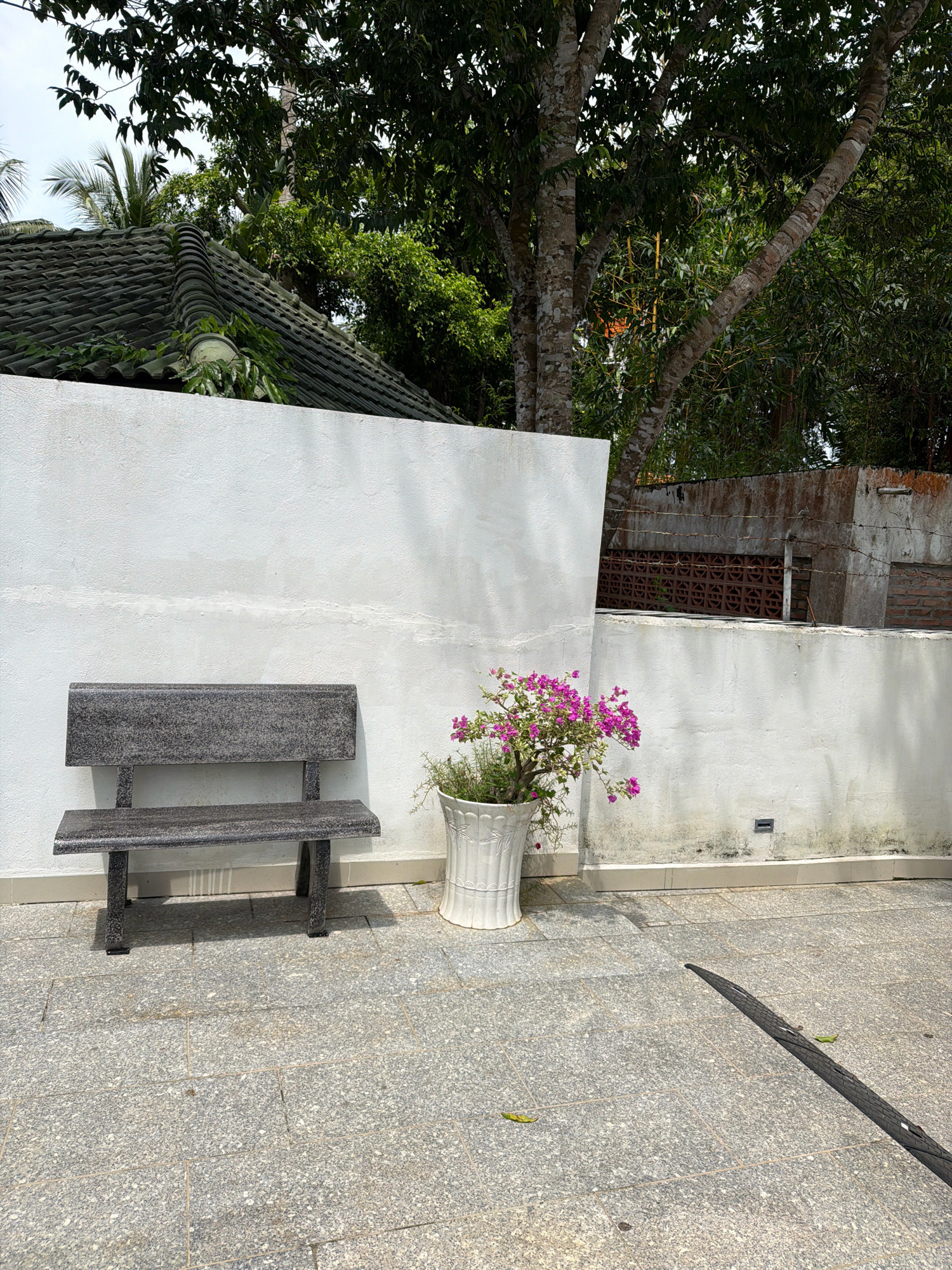 This image depicts an outdoor scene on the island of Phú Quốc, Vietnam. In the foreground, a dark gray speckled bench sits on a gray tiled patio. To the right of the bench, a white decorative pot overflows with vibrant pink bougainvillea flowers and green foliage. Behind the bench and pot is a textured white wall, partially shaded. Above the wall, a dark green tiled roof is visible, interspersed with lush green trees and palm fronds. Further in the background, a weathered concrete wall with rusty elements and decorative brickwork can be seen, with more dense foliage behind it. The ground is paved with square granite tiles, and a dark shadow stretches diagonally across the patio, indicating bright sunlight. The scene appears to be part of an exterior area, possibly a courtyard or garden, in Phú Quốc.