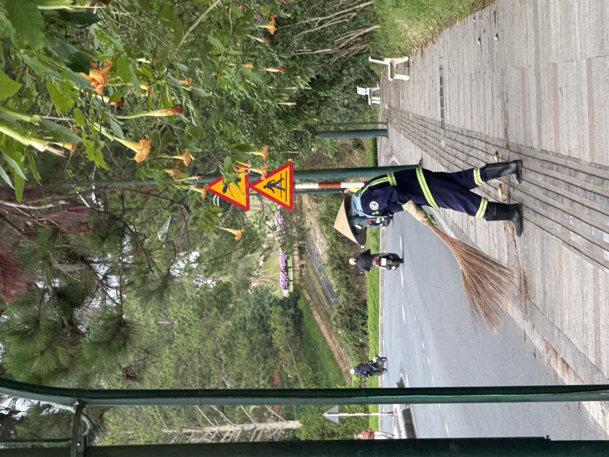 This image depicts an outdoor street scene in Phường Xuân Hương - Đà Lạt, Vietnam. In the mid-foreground, a street sweeper, wearing a dark blue uniform with reflective yellow-green stripes, a conical straw hat (nón lá), gloves, and black rubber boots, actively sweeps a tiled sidewalk with a long-handled broom made of natural fibers. Behind the sweeper, on the asphalt road, two individuals on motorbikes, both wearing helmets, are driving away from the viewer. Further left, partially obscured by a dark green metal archway, another pedestrian walks on the sidewalk.
The environment is characterized by lush greenery, including numerous pine trees dominating the background and dense foliage on the right. Overhanging branches on the right feature numerous drooping, bell-shaped orange flowers. Two yellow triangular warning signs with red borders are affixed to a pole near the center-right; the lower sign depicts a running pedestrian. Two simple, light-colored benches are visible on the right-side grass verge adjacent to the sidewalk. The background includes a grassy slope with a patch of purple flowering plants. The sidewalk is composed of light-colored rectangular and square paving stones, with darker, grooved sections running parallel to the curb. Debris is visible on the sidewalk where the sweeper is working.