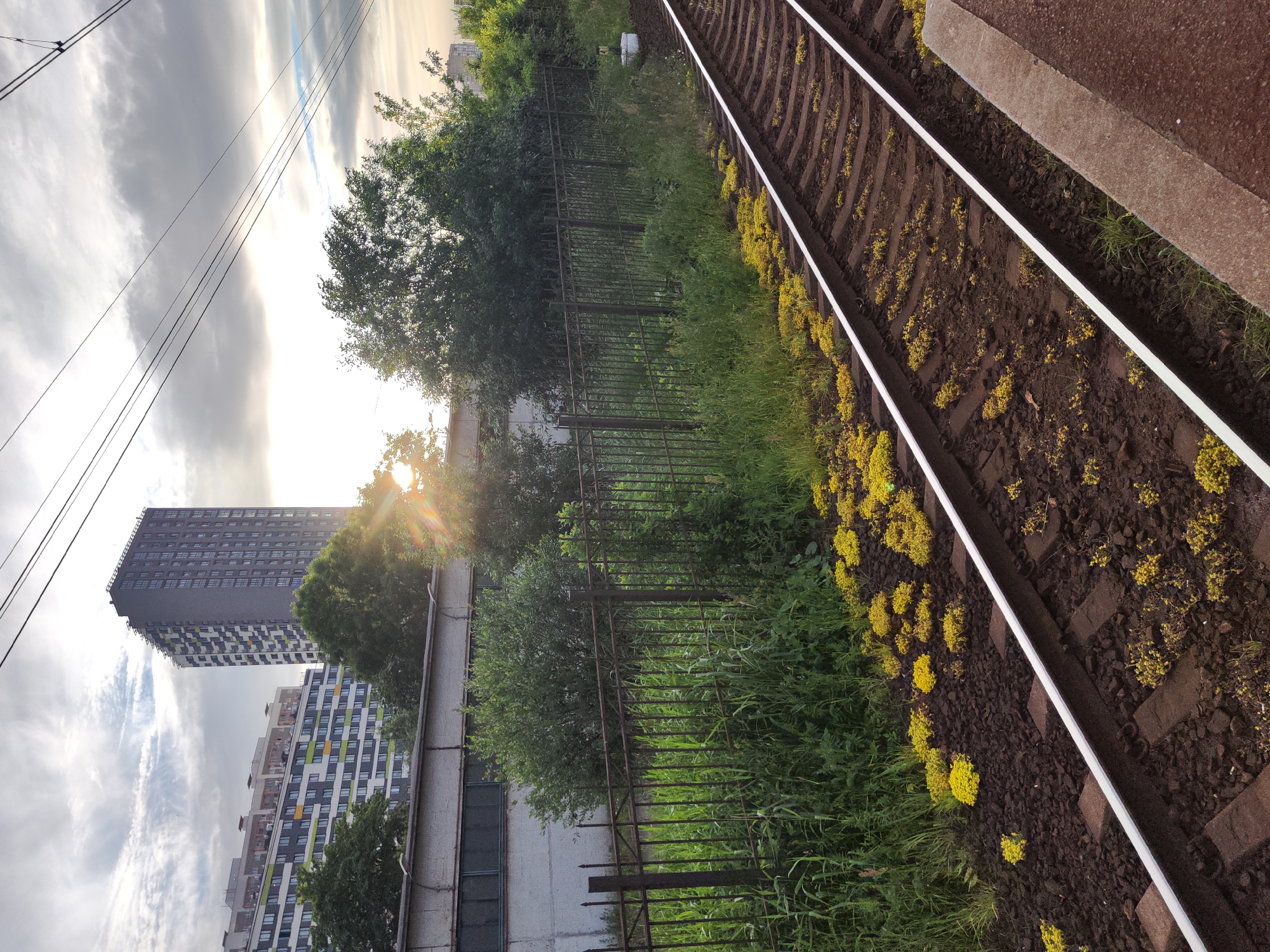 This is a photograph of a railway track in Saint Petersburg, Russia, with buildings and trees in the background. The railway tracks run diagonally from the bottom right to the top left of the frame. Yellow flowers are growing alongside the tracks. A metal fence is visible behind the tracks, separating them from an overgrown area with grass and bushes. In the background, there is a long, gray industrial building with windows. Beyond that, two tall residential buildings can be seen, one significantly taller than the other, with a grey, modern facade. The sky is cloudy with a bright spot where the sun is shining through, creating a sun flare. Power lines are also visible stretching across the top of the image. The image appears to be taken from a platform or embankment.