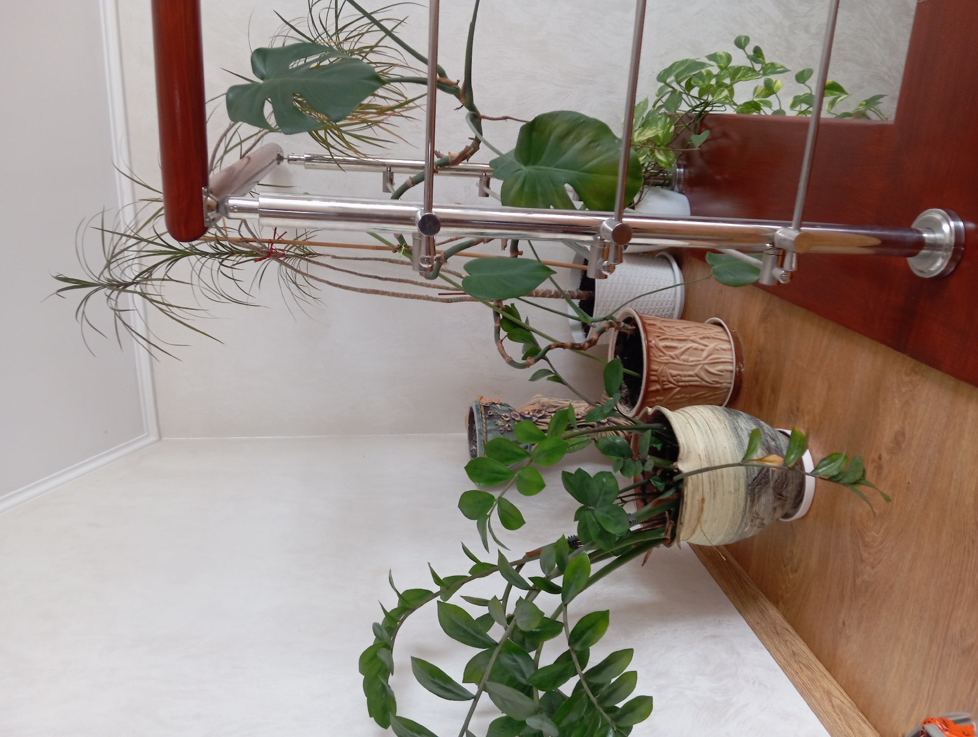 The image shows an indoor scene with several potted plants arranged on a wooden shelf and near a staircase railing. On the left, a large ZZ plant with glossy, dark green leaves is in a decorative ceramic pot. To its right, there's a smaller potted plant in a textured brown pot, and behind it, a decorative vase with a blue and green pattern. Further to the right, along the staircase railing, are more plants including a Dracaena with thin, spiky leaves and a Monstera with large, fenestrated leaves. The railing itself is made of polished metal with a wooden handrail. The background consists of a white textured wall and a white ceiling with molding. The floor is light-colored wood. No people are present in the image. The scene appears to be a well-lit interior space, likely a home or an office, given the presence of houseplants and a staircase. The location is specified as Hlynytsi, Ukraine.
