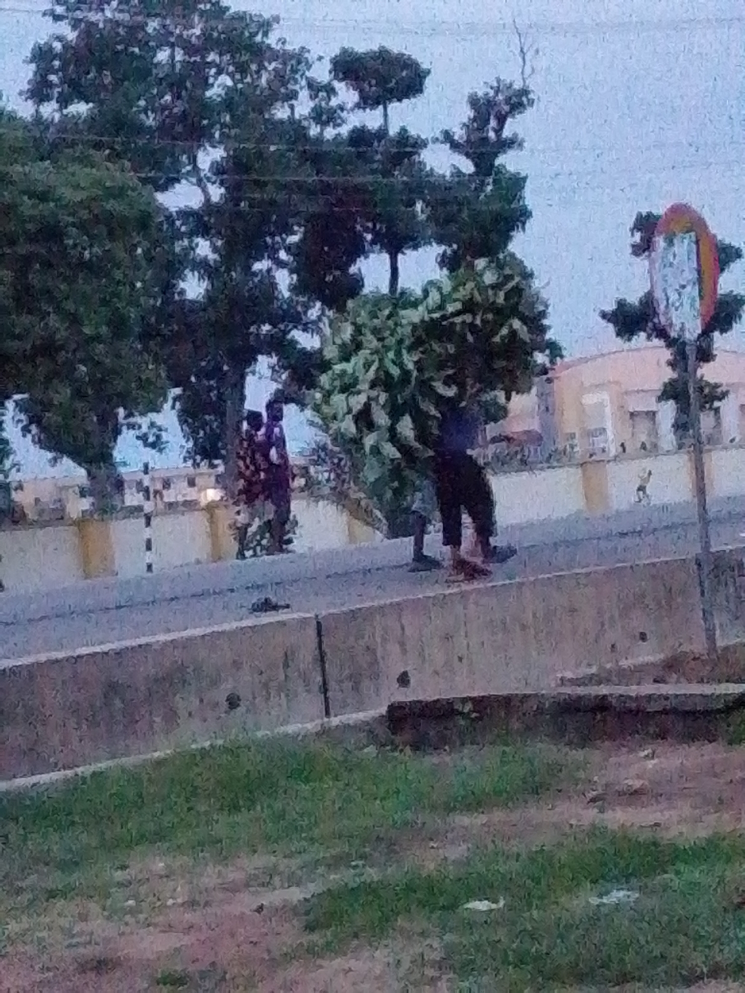 This media file shows a scene outdoors, likely in Jalingo, Nigeria. The image depicts two people walking on a road next to a concrete barrier. One person, on the left, is wearing a patterned outfit. The other person, on the right, is carrying a large bundle of green foliage over their shoulder. They are both walking in the same direction, suggesting they are moving from one place to another with their load.
In the background, there are several trees with dense canopies. Further in the distance, a building with a light-colored facade and some windows is visible. A traffic sign with a circular orange frame and a white center is also present on the right side of the image. The lighting suggests it is either early morning or late afternoon, with soft, diffused light. The sky is overcast, indicating possibly cloudy weather. The overall scene appears to be a typical day with individuals engaged in their daily activities. There is no visible text in the image.