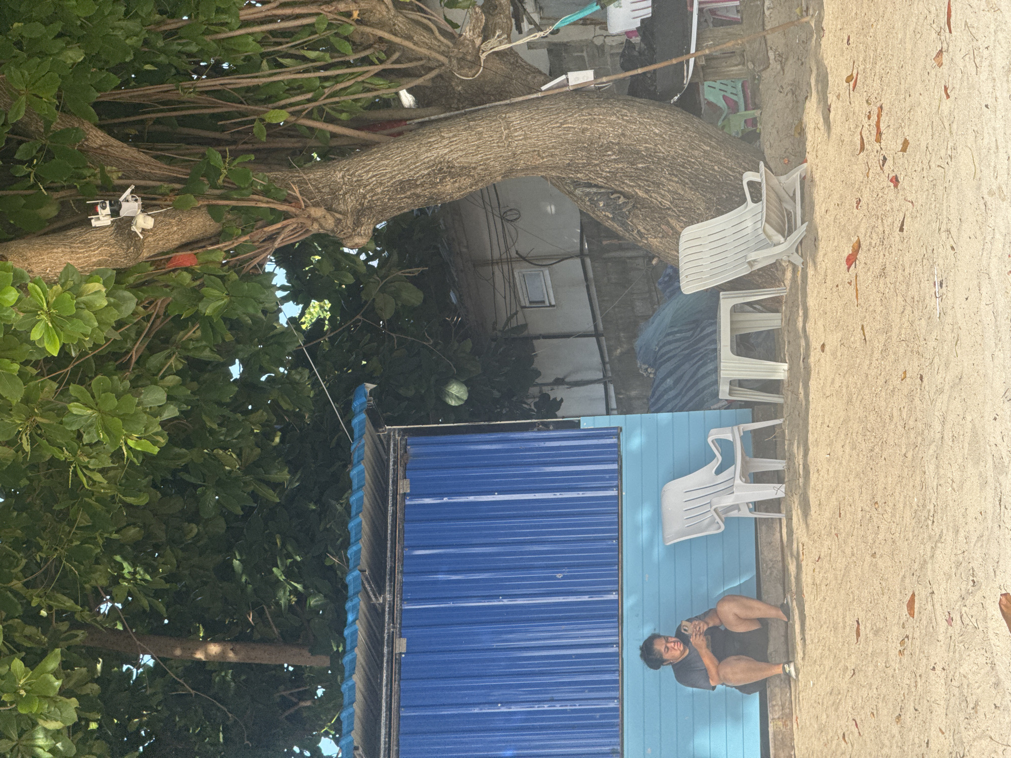 The image shows an outdoor scene with a person sitting on a sandy ground in front of a blue building. The person, who appears to be an adult male with dark hair and fair skin, is wearing a dark t-shirt and shorts. He is holding a smartphone in his hands and looking down at it. Beside him, there are two white plastic chairs. In the background, there is a large tree with lush green leaves and a thick trunk, with a large branch arching over the scene. The building appears to be made of corrugated metal and has a blue roof. The sandy area suggests a beach or a sandy outdoor space. The lighting suggests it is daytime, possibly late afternoon given the warm tones in the sand. The overall mood is relaxed and casual. There is no visible text in the image.