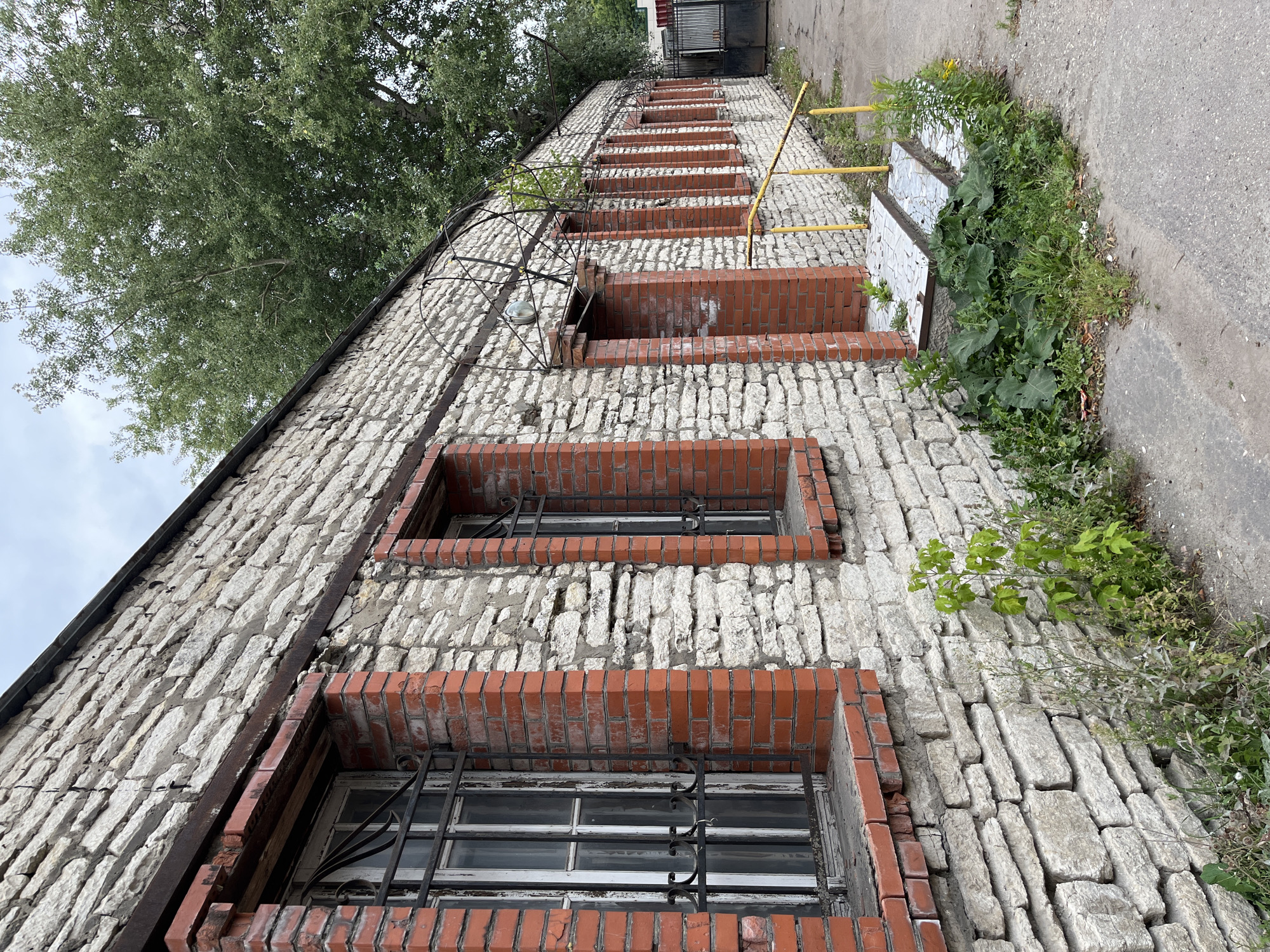 The image shows the exterior of a stone building with red brick accents, located in the city of Pskov, Russia. The building has several windows with black metal bars and appears to be an industrial or utilitarian structure. Overgrown vegetation is present along the base of the building and around a set of stairs leading to a doorway. A large tree with green foliage is visible behind the building. The sky is overcast. There are no people or animals in the frame. The overall impression is one of disuse or neglect.