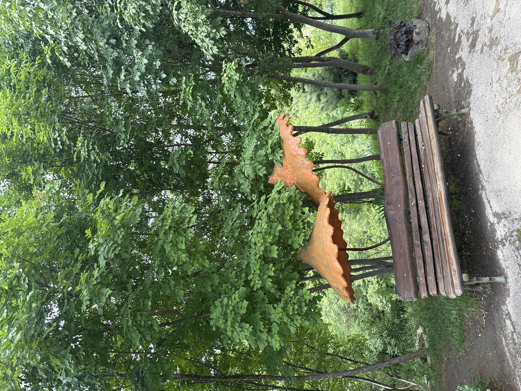The image shows a park scene in Lukovit, Bulgaria. A wooden park bench sits on a narrow strip of grassy ground bordered by a paved path. Behind the bench is a dense collection of trees with green foliage. A large, decorative, orange-colored leaf sculpture is positioned near the bench and among the trees. In the background, more trees are visible, along with a rock planter containing a dark-leaved plant. The lighting suggests daylight. The image appears to be slightly rotated counterclockwise.
