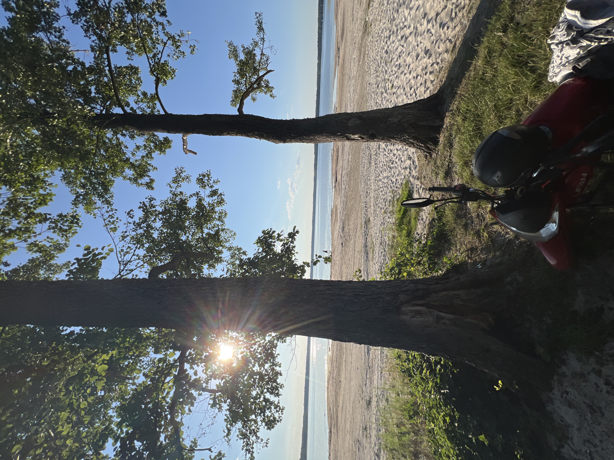 A sunny day at a sandy beach next to a calm body of water. Two large trees stand on the left and right sides of the frame. The sun shines through the leaves of the tree on the left, creating lens flare. In the foreground, a red motorcycle is parked on the grassy edge of the beach, with a black helmet resting on its handlebars. A light-colored patterned item, possibly clothing, is laid on the ground next to the motorcycle. The beach stretches into the distance towards a horizon line where the water meets the sky. The sky is clear blue with a few wispy clouds. The scene is a serene outdoor setting, likely a recreational area.