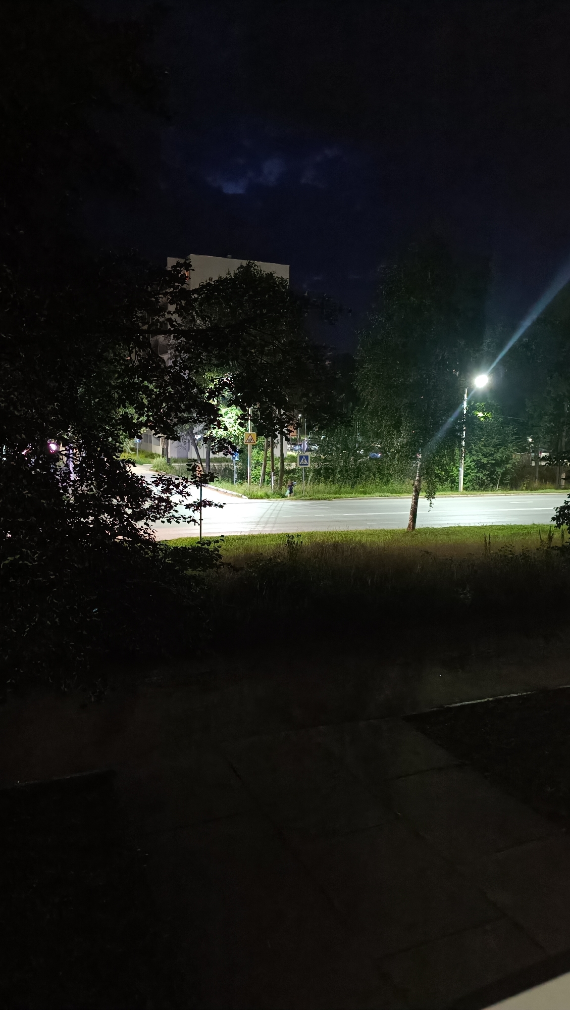 The image depicts a nighttime scene on a street in Chaikovsky, Russia. In the foreground, there is dark foliage from trees. Beyond the foliage, a road is visible, illuminated by a streetlamp. There are several traffic signs on the side of the road. A building, partially obscured by trees, is visible in the background. The sky is dark with some clouds. The overall impression is a quiet, urban street at night.