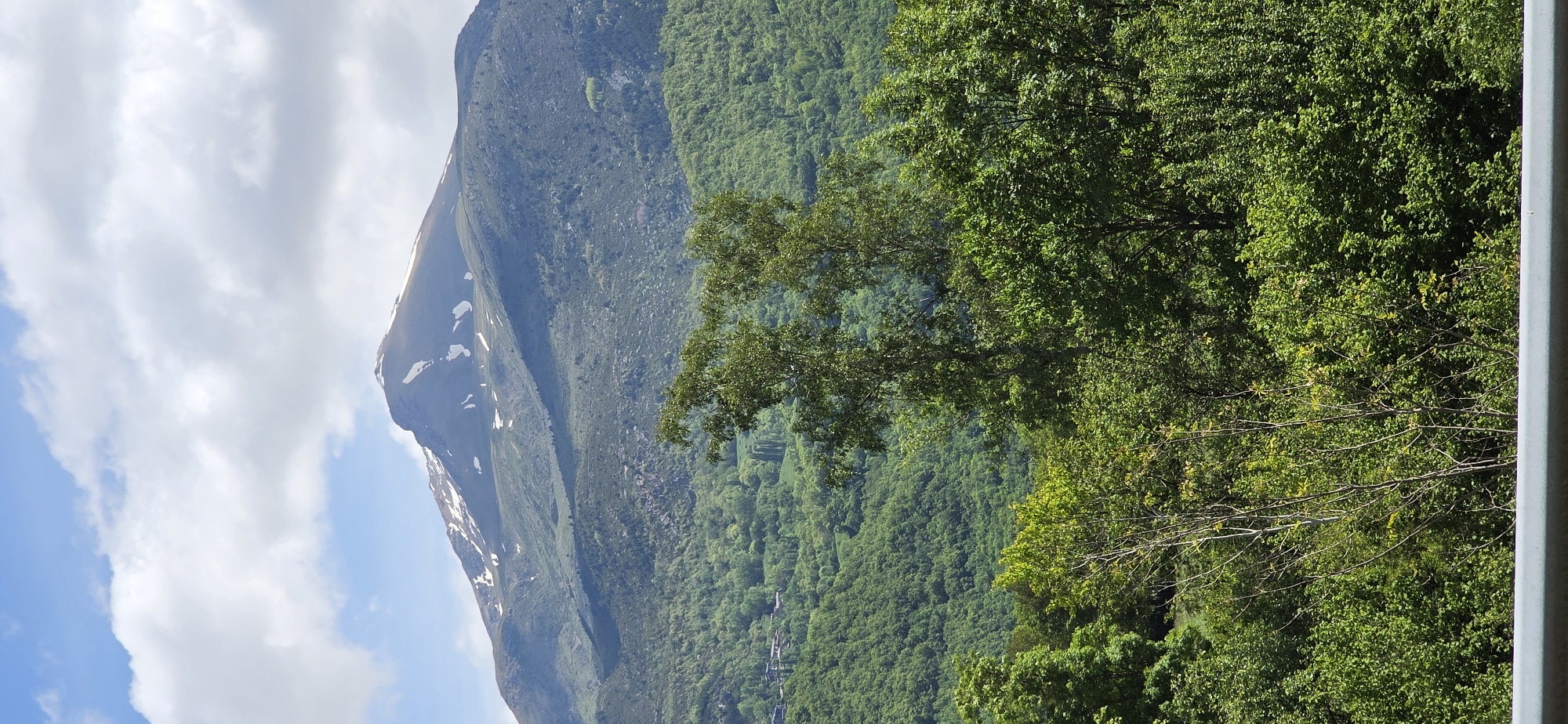 The image shows a view of a mountain covered in vegetation, with patches of snow near the peak. The mountain takes up a significant portion of the left side of the frame, its slopes covered in dense green foliage. To the right of the mountain, a dense forest fills the frame, with various shades of green indicating different types of trees. A large tree in the foreground partially obscures the view of the forest behind it. In the sky, there are scattered clouds, with blue sky visible in between. The photo was taken in Castejón de Sos, Spain. A pale gray pillar is located on the right side of the image.