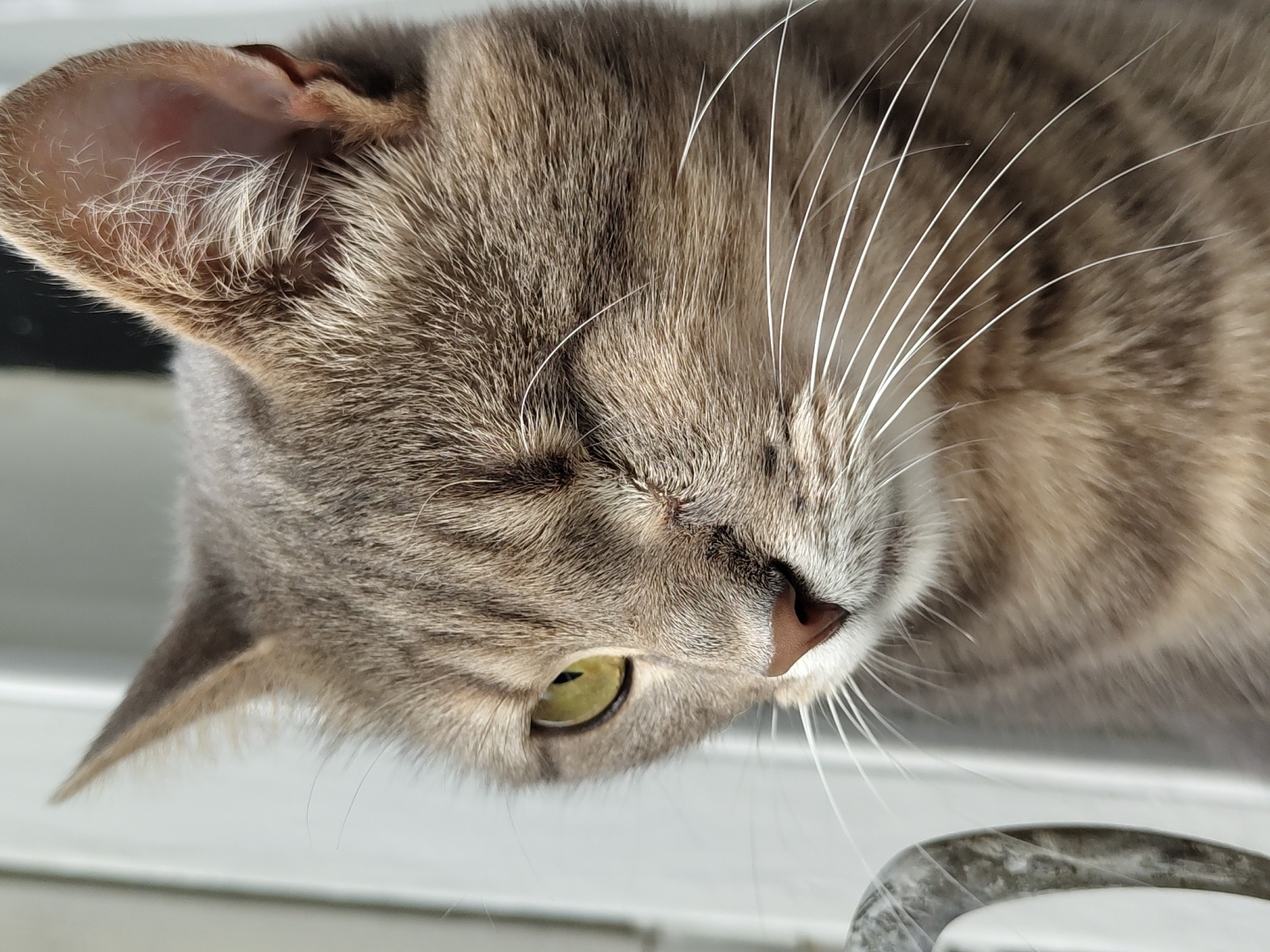 The image is a close-up, eye-level shot of a grey tabby cat with one eye open, facing left. The cat's left eye is a vibrant green, while its right eye is closed and appears to have scarring around it. The cat's fur is short and has distinct tabby markings. Its nose is a light brown, and its whiskers are long and white. The background is blurred and appears to be an indoor setting with a white wall and a window. The cat is positioned near a white object with a grey marbled pattern, possibly a windowsill or furniture. The lighting suggests natural light coming from the side. The image is a portrait of the cat, emphasizing its facial features and its unique eye condition.