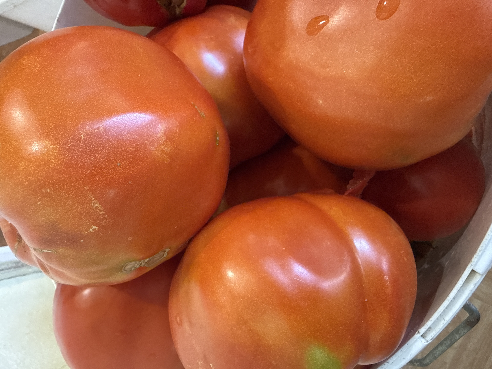 A close-up shot showcases a basket filled with a variety of ripe tomatoes. The tomatoes are predominantly a vibrant red and orange hue, with some exhibiting slight green undertones. A few of the tomatoes have water droplets on their surface, indicating they may have been recently washed or are still dewy. The basket itself appears to be made of a white material with metallic handles. The background is softly blurred, suggesting an indoor setting with diffused lighting. The image is a still life, focusing on the texture and color of the produce. There are no people or animals visible in the scene, nor any specific landmarks that would identify it as being in Ekzarh Antimovo, Bulgaria.