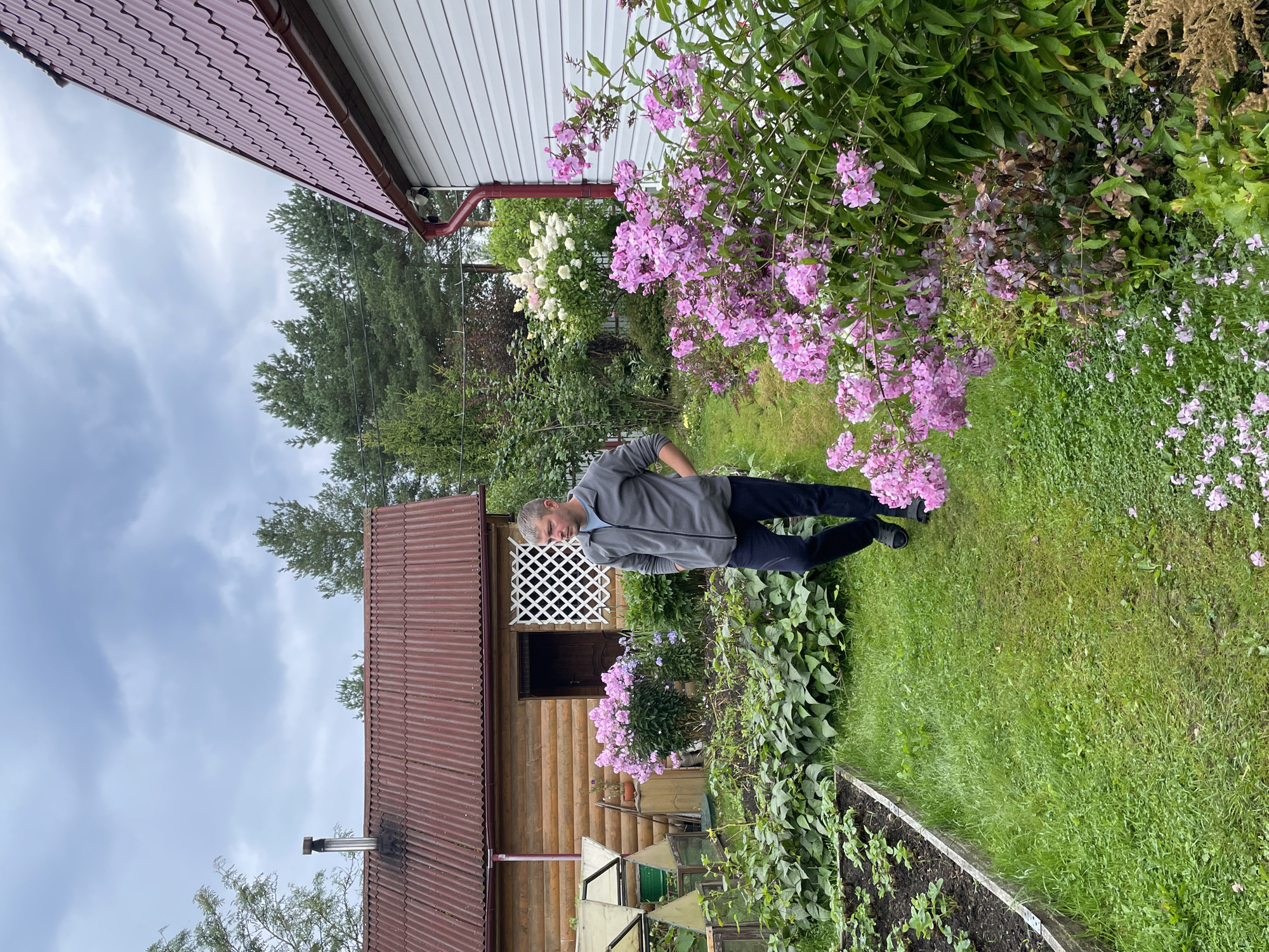 In a backyard setting in Leningradskaya, Russia, a man in his late 30s or early 40s with short, graying hair is walking down a grassy path between garden beds. He is wearing a gray zip-up fleece jacket and dark trousers. His hands are in his pockets, and he is looking to his right. To his left is a wooden structure with a red corrugated roof and a chimney. In front of the wooden structure is a bush of pink flowers. Further to the left are garden beds with green plants and some small greenhouses. To the right of the man is a white building with a red corrugated roof, and a downspout. A large bush of pink flowers is in the foreground to the right, partially obscuring the view of the white building. The sky is overcast with gray clouds. The overall environment appears to be a residential area with a well-maintained garden.