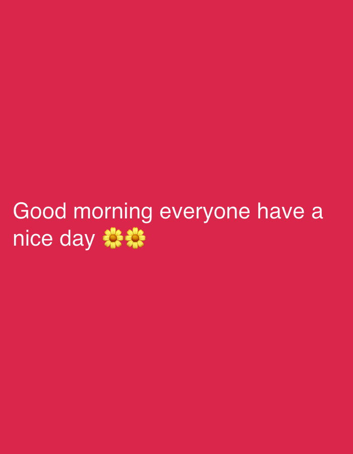 A digital image features white text that reads "Good morning everyone have a nice day 🌼🌼" against a solid pink background. The two flower emojis are positioned at the end of the text. There are no people, subjects, objects, actions, interactions, or visible environmental elements in the image. The image does not contain any information to indicate it is related to Tbilisi, Georgia.