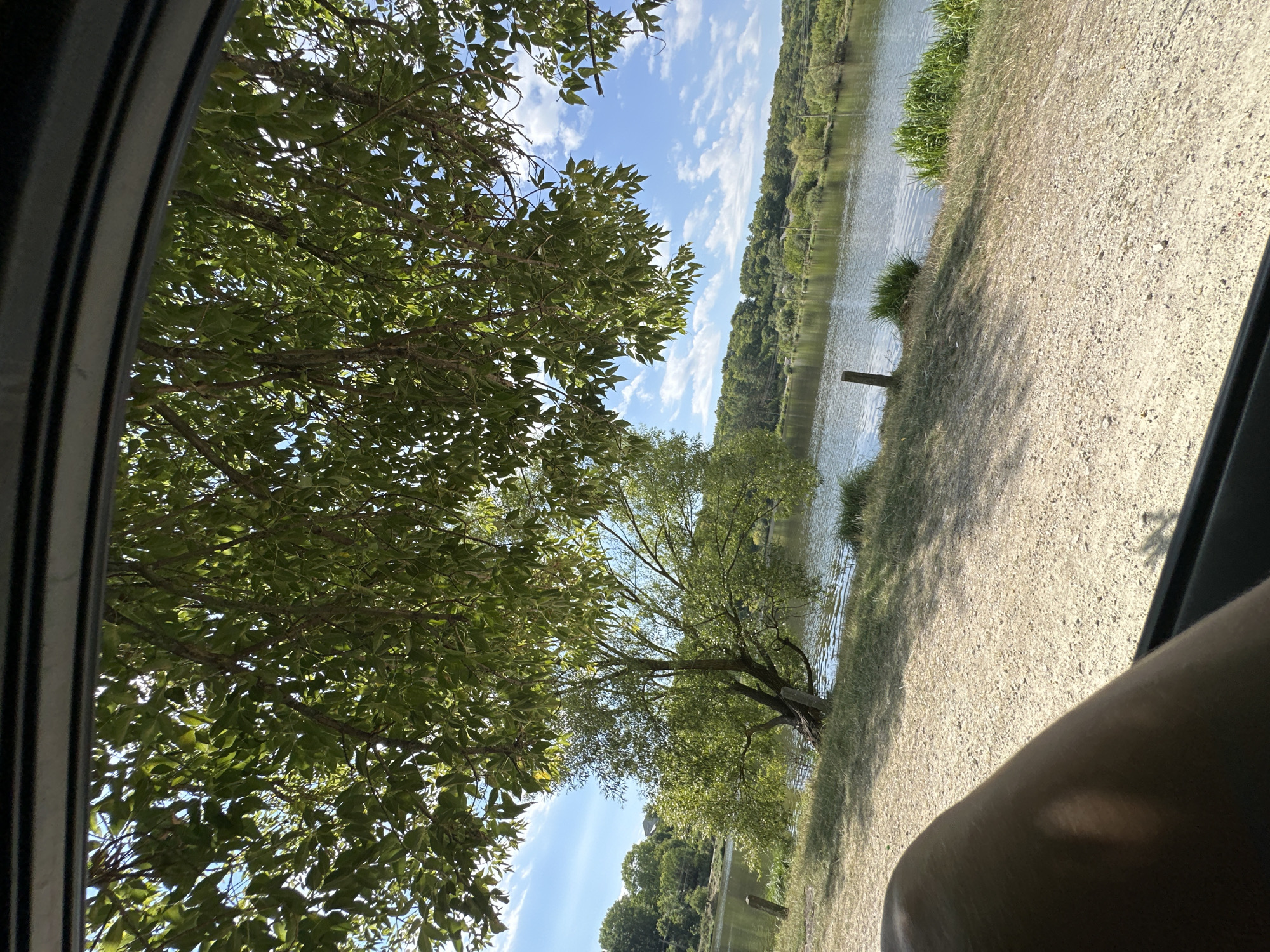 The image, taken from inside a vehicle looking out, depicts a serene lakeside scene in Makiv, Ukraine. In the foreground, a portion of a person's leg is visible, casting a shadow on the gravelly ground. The ground slopes down towards a body of water, likely a lake, bordered by grassy banks and scattered vegetation. A prominent tree with lush green foliage dominates the middle ground, its branches reaching overhead and partially obscuring the view of the sky. In the distance, a verdant, tree-lined shore stretches across the horizon, with a clear blue sky dotted with fluffy white clouds above. The overall impression is one of a peaceful, natural environment on a sunny day.