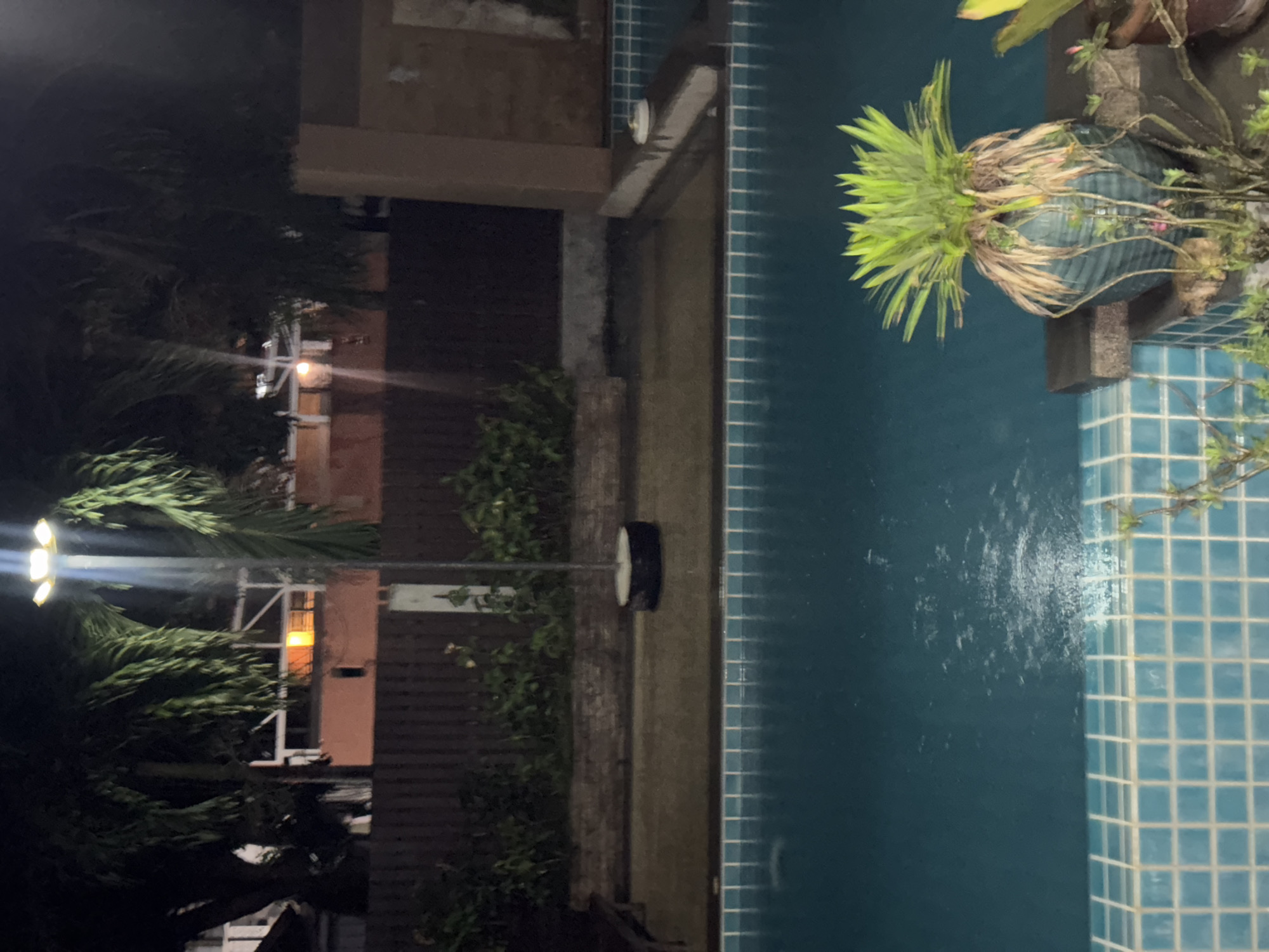 An exterior nighttime shot reveals a swimming pool area. The pool is filled with turquoise water and bordered by light blue square tiles. In the foreground, a potted plant with spiky green leaves sits on a dark ledge. Beyond the pool, a concrete walkway is visible, with a dark circular object on it. Lush green vegetation lines a wooden fence in the background, and palm trees with dense fronds are present. A street lamp with multiple lights illuminates the scene from above. In the far background, a building with orange walls and white structures is visible, with a window emitting a warm orange light. The overall atmosphere is dark and somewhat humid, with the light source creating a diffused glow.