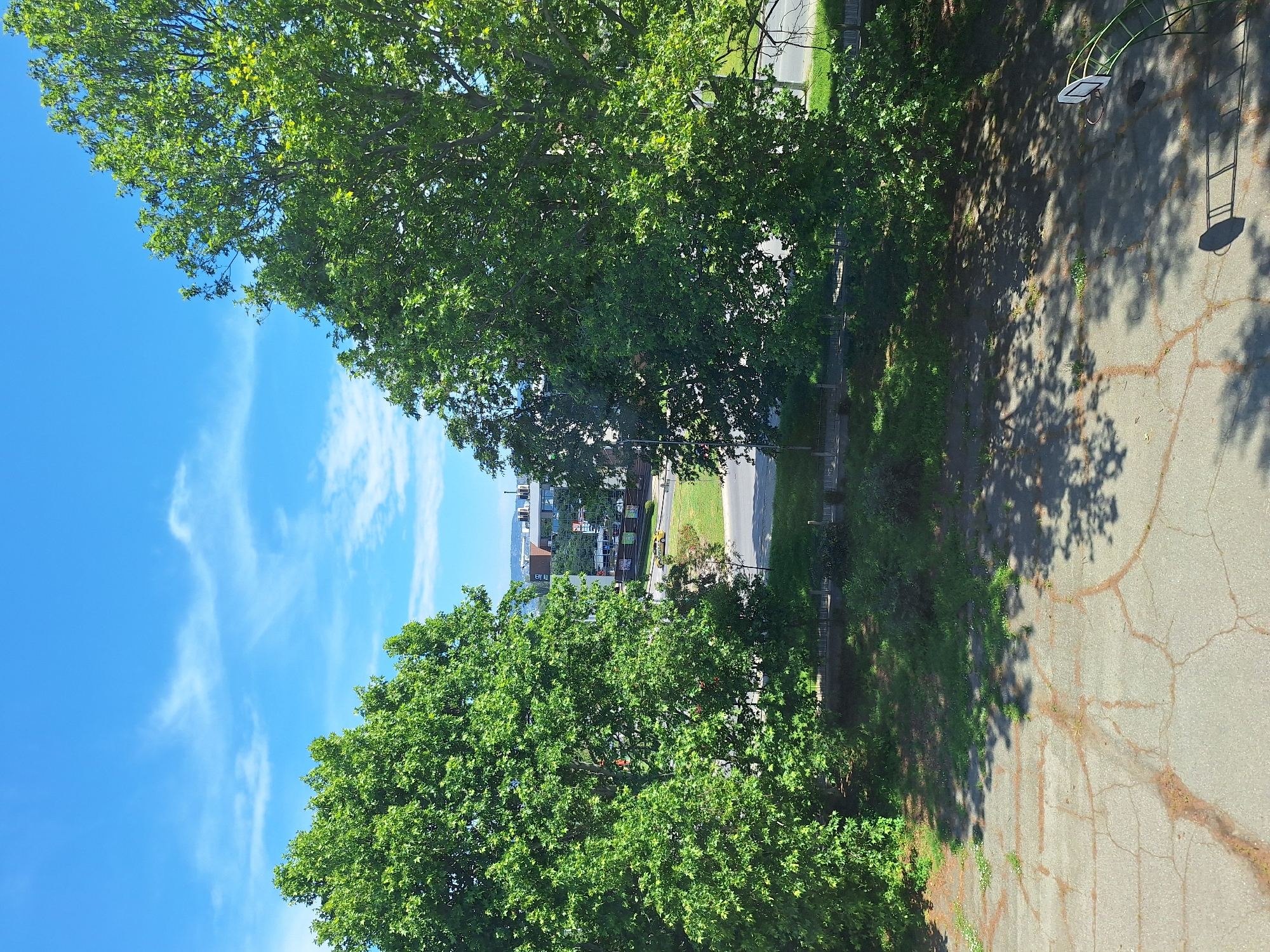 The image depicts an outdoor scene in Varna, Bulgaria. The foreground features a cracked asphalt surface with sparse vegetation and shadows from trees. In the mid-ground, there is a paved area with a basketball hoop and backboard. Beyond this, a road is visible, bordered by grass and trees. Further in the background, there are several modern buildings and more trees, with a hazy horizon indicating more urban development or landscape. The sky is a bright blue with scattered white clouds, suggesting a clear, sunny day. The overall impression is of an urban park or recreational area with surrounding city infrastructure.