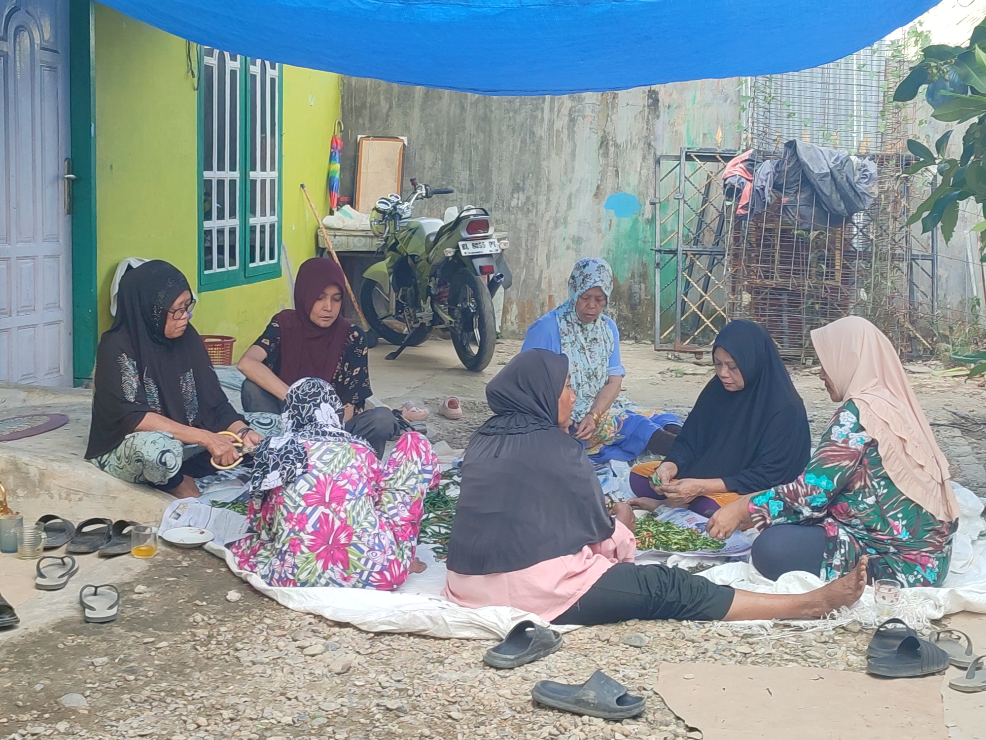 In Gampongjawa, Indonesia, a group of six women are seated on a white tarp placed on a pebbled surface. They are engaged in a task involving green vegetables, possibly preparing food together. Most of the women are wearing hijabs. Their footwear is scattered around the tarp. A motorcycle is parked behind them near a weathered wall. A green house with white-framed windows stands to the left of the women. Above them, a blue tarp is providing shade.