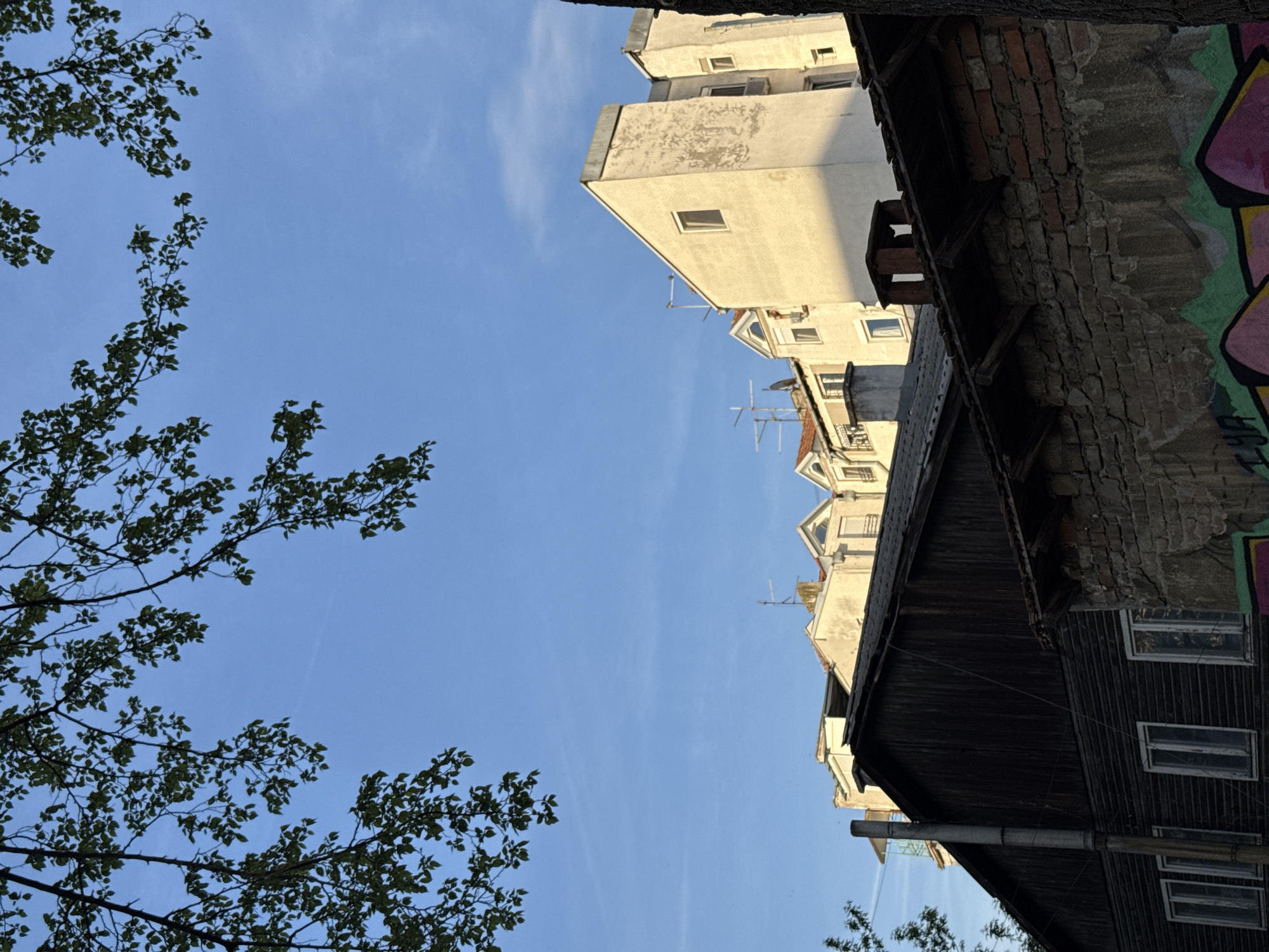 The image is a low-angle shot looking up at buildings and sky in Belgrade, Serbia. On the left, branches with green leaves frame the view. The sky is blue with faint white clouds. On the right, there are a few buildings of varying heights and styles, including a light-colored building with windows and antennae on its roof, an older brick building with graffiti, and a dark wooden building with small, rectangular windows. The perspective is from street level. There are no people visible.