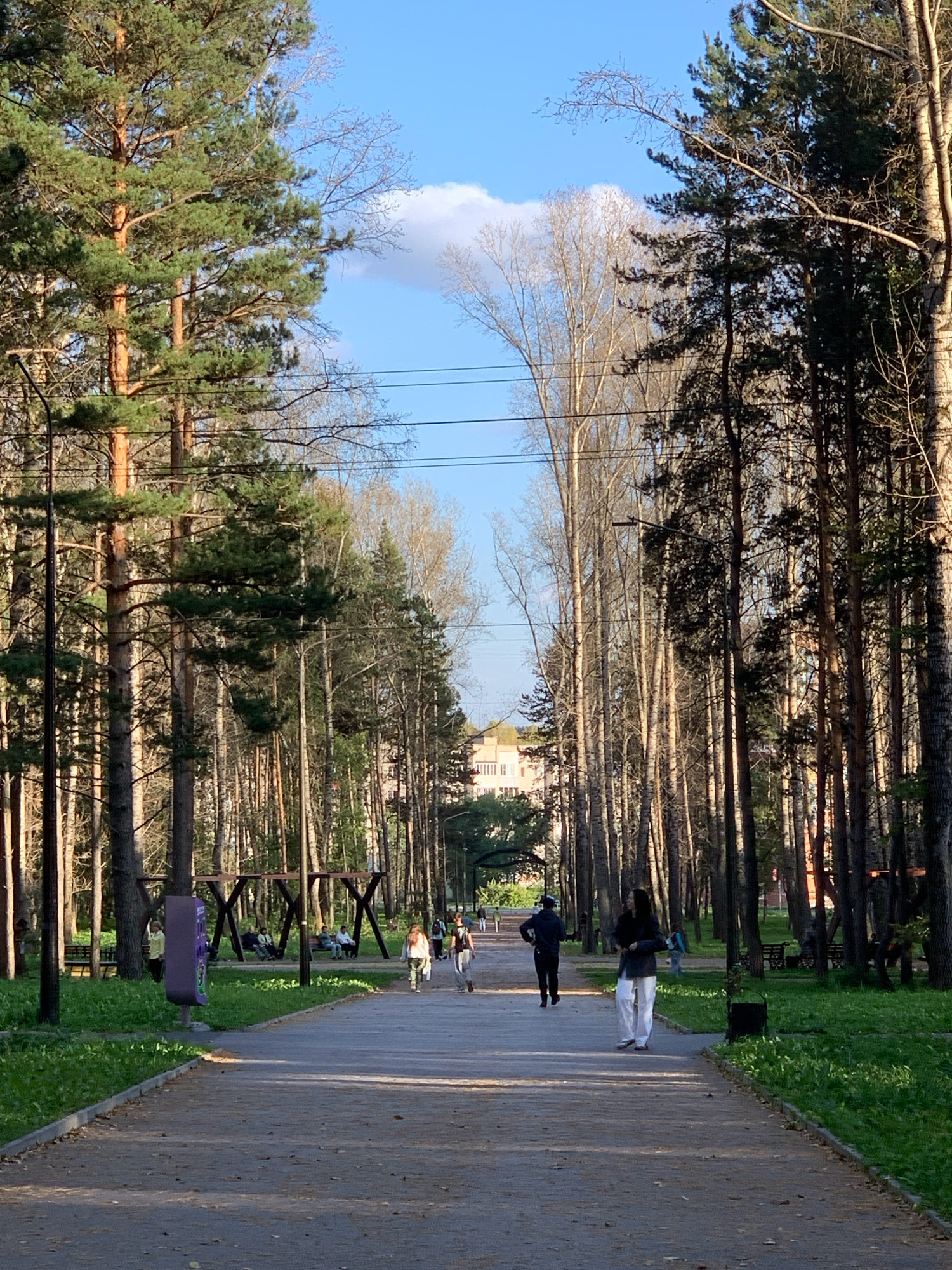 This is a daytime, full-shot, eye-level, outdoor photograph of a paved park pathway lined with tall trees, a common feature in the city of Prokopyevsk, Russia. The pathway leads toward a building in the distance. On the left side of the pathway, there is a swing set, benches, and a purple trash receptacle. On the right side, there are more benches. Several people are walking on the pathway. The sky is blue with a few white clouds.