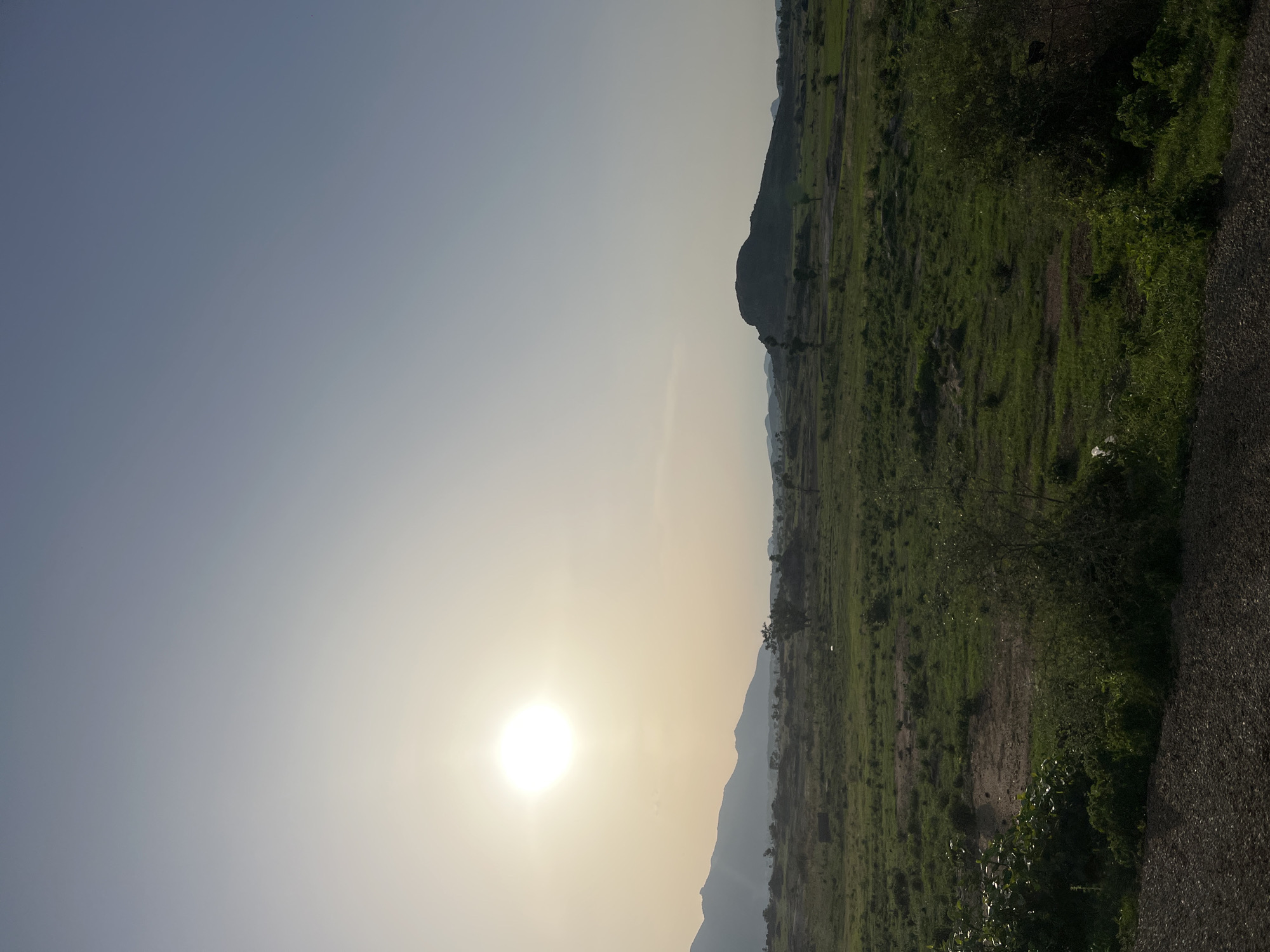 An outdoor landscape photograph captures a vast, open terrain in Bauchi, Nigeria, under a bright sun positioned in the upper left quadrant, indicative of either sunrise or sunset. The sky transitions from a pale, warm yellow-white near the horizon line to a clear, light blue towards the top, with no visible clouds.
In the background, a range of dark, undulating hills or mountains extends across the left and central horizon. A prominent, dark, rounded hill or small mountain stands in the right-center midground, silhouetted against the lighter sky. The midground primarily consists of expansive, uneven green land, appearing as a mix of cultivated fields and natural scrubland, with various shades of green foliage and patches of darker, exposed soil. Scattered smaller trees and bushes are visible across this green expanse.
The immediate foreground features a dark, rough surface, likely unpaved ground or gravel, curving gently from the lower left to the lower right. Dense, dark green bushes and low-lying vegetation line this foreground edge, with similar sporadic growth extending into the midground. No people, animals, or man-made structures are discernible within the frame.