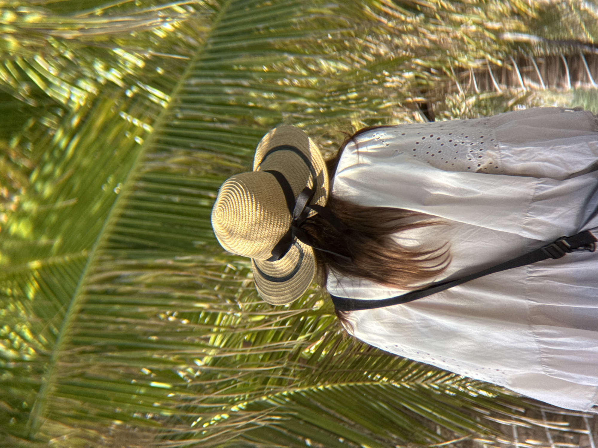 The image shows a person from behind, wearing a straw hat with a black ribbon, a white eyelet-trimmed dress, and a black strap visible over their shoulder. They are standing in front of a backdrop of blurred green palm fronds, suggesting an outdoor setting. The lighting is bright, with sunlight filtering through the foliage, creating a dappled effect. The specific location in Nha Trang, Vietnam, cannot be determined from the visual information provided in the image.