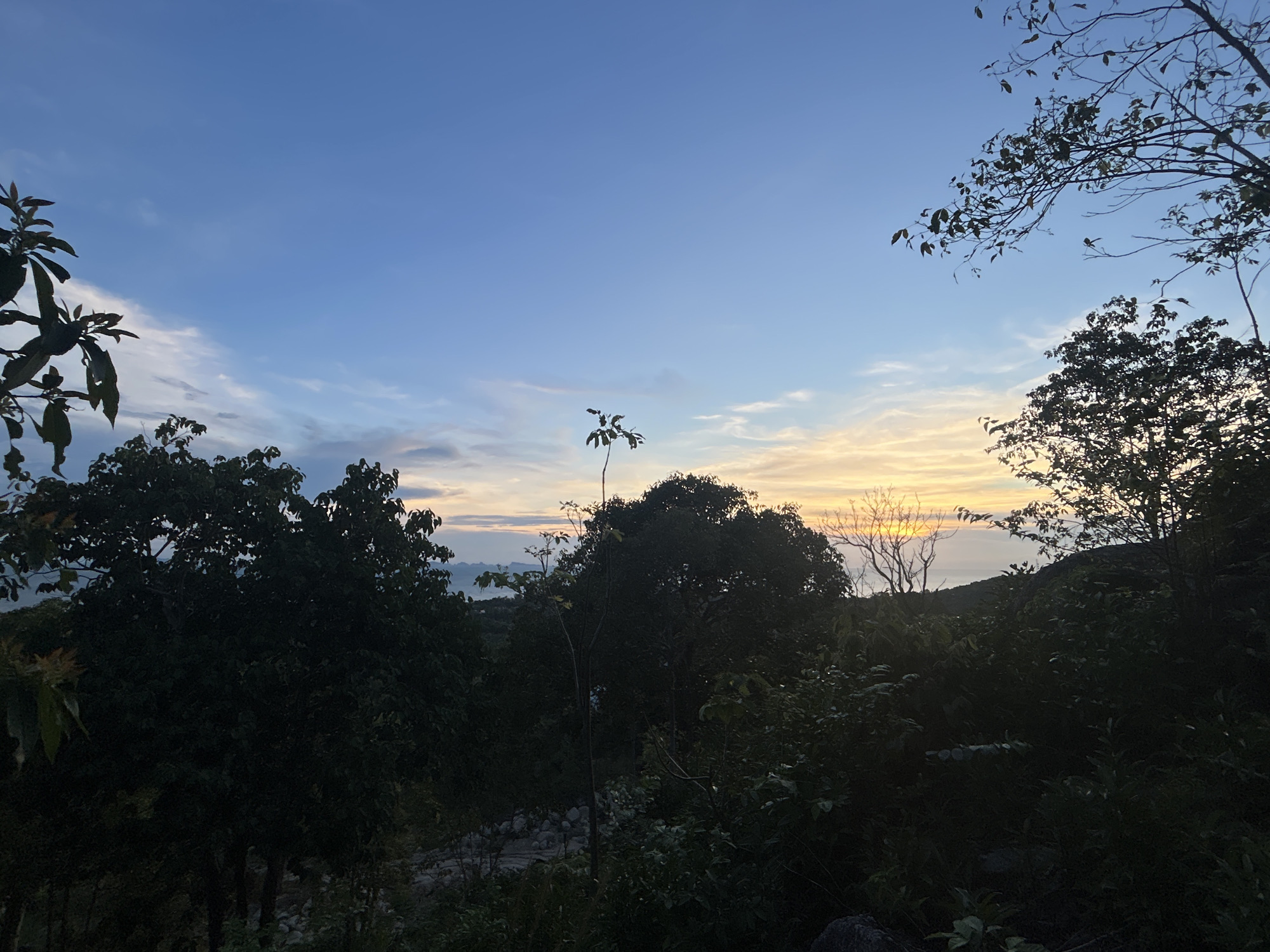 The image shows a landscape at dusk or dawn in ตำบลเกาะพะงัน, Thailand. The sky is a gradient of blues and yellows, with some clouds visible on the horizon. The foreground is dominated by dense vegetation, including various trees and bushes, mostly silhouetted against the sky. Some bare branches are visible. A path or clearing descends through the vegetation on the left side of the frame. The sun is barely visible on the horizon, appearing to be setting.