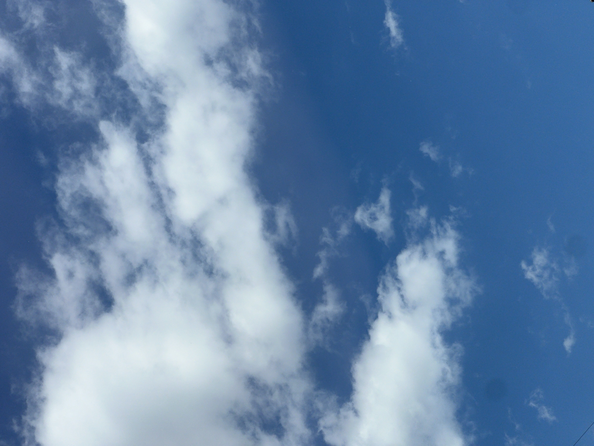 This media file is a landscape photograph of a bright blue sky with scattered white clouds. The clouds are wispy and appear to be thin, suggesting fair weather conditions. The composition is dominated by the expanse of the sky, with no discernible ground or structures visible. The lighting indicates it is daytime, likely mid-morning or afternoon, given the clarity and brightness of the sky. There are no people, objects, or text visible in the image. The scene is serene and evokes a sense of openness and calm. Without further context, the specific location within Saint Petersburg, Russia, is not identifiable from the visual information alone.
