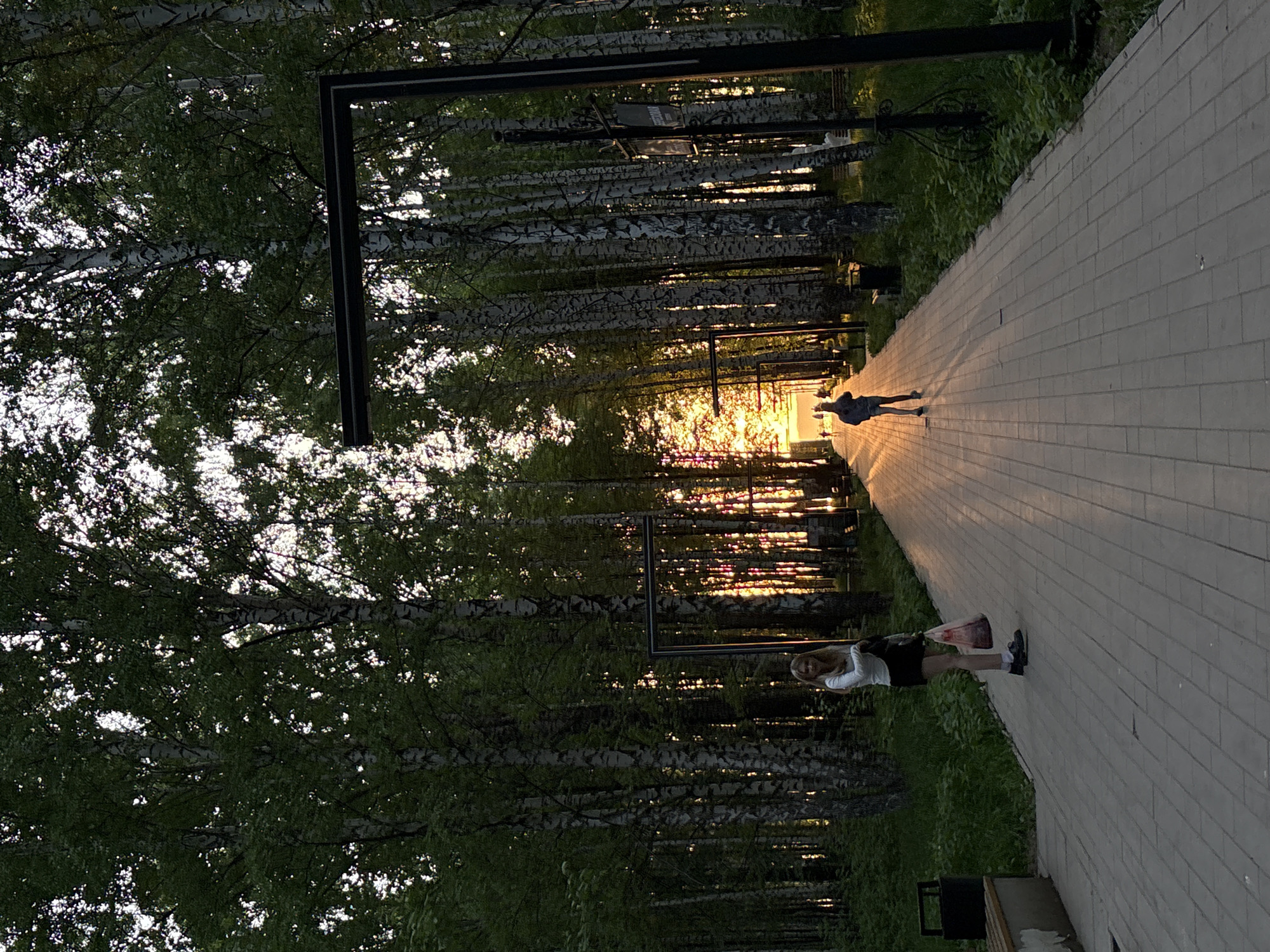 The image depicts a park scene in Chaikovsky, Russia. A paved walkway stretches into the distance, illuminated by the setting sun. Tall birch trees line both sides of the walkway, creating a corridor effect. Two metal frame structures are visible along the path.
A woman stands on the right side of the walkway, closer to the foreground. She has blonde hair and wears a light-colored shirt and a dark skirt or shorts. She holds a shopping bag. Further down the walkway, a person is walking away from the camera towards the sunset. The overall atmosphere is bright and warm due to the sunlight.
