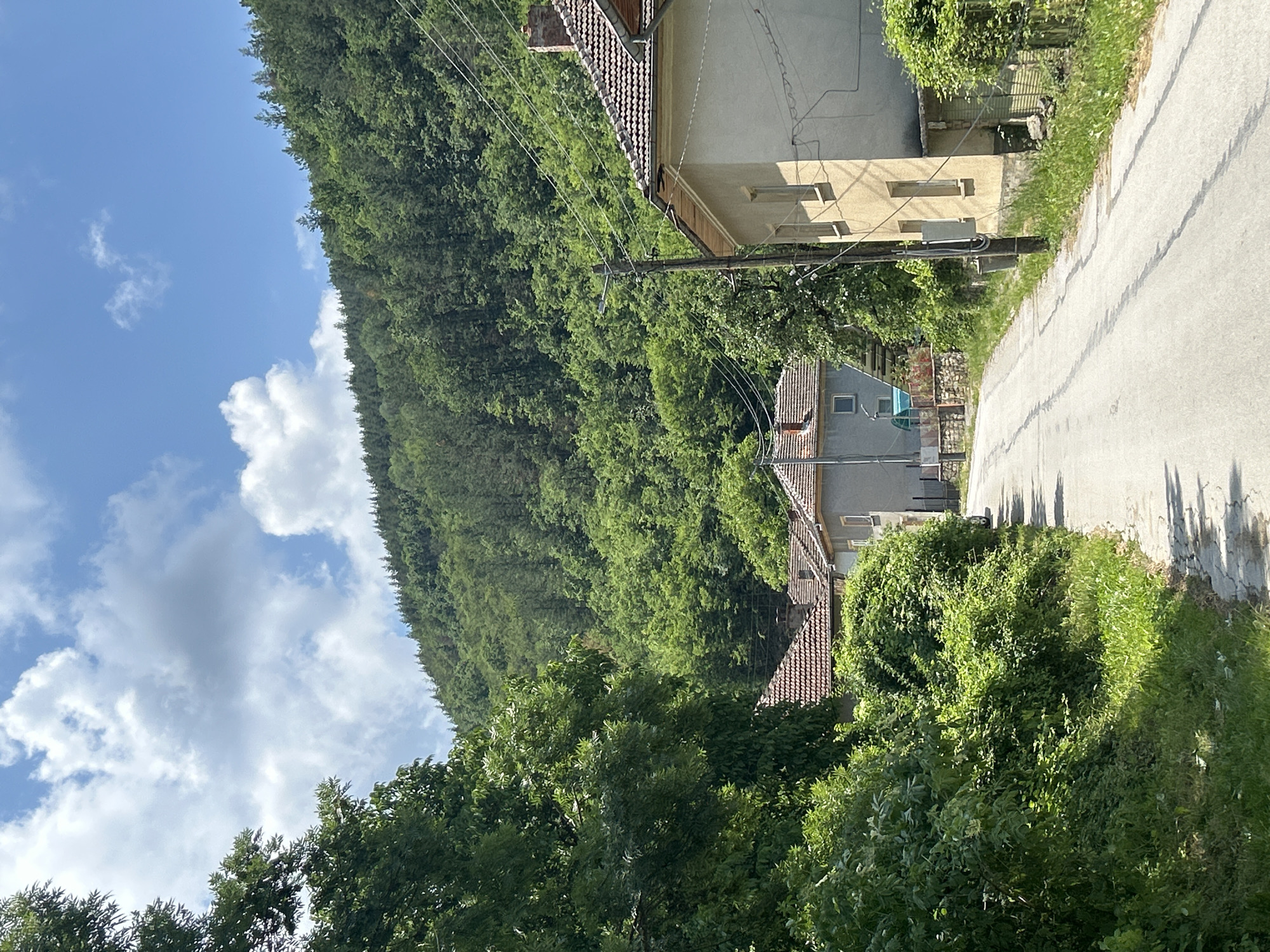 The image depicts a serene, sunlit rural or semi-rural landscape dominated by a heavily forested hillside and a winding road. On the left, a dense, verdant forest covers a steep hill, extending upwards towards a bright blue sky filled with scattered white cumulus clouds.
On the right side of the frame, a paved road curves gently, with visible cracks and shadows stretching across its surface. Along this road, several houses are visible amidst lush green vegetation. The most prominent building is a light-colored (beige or cream) house with a reddish-brown tiled roof and multiple rectangular windows. Utility poles with overhead wires crisscross the scene, connecting to this house and others, with a street light attached to one of the poles. Further down the road, another house with a similar tiled roof and a smaller, grey-colored building are partially visible through thick bushes and trees.
The scene is bathed in clear, bright sunlight, indicated by the distinct shadows cast by trees and buildings on the road and ground, suggesting a late morning or early afternoon setting. The weather is clear with some cloud cover. The overall impression is one of a tranquil, green environment where human dwellings are nestled into a natural, forested landscape. No people or visible text are present in the image.