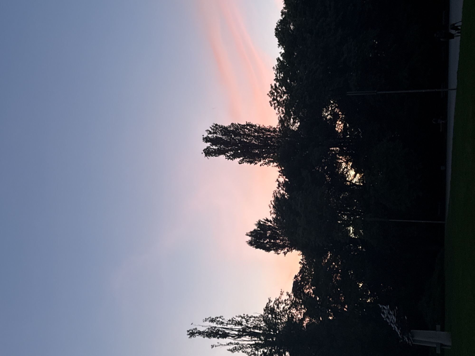 The image depicts a landscape at twilight. The sky transitions from a light blue to a pinkish hue, indicating the setting sun. The foreground is dominated by silhouetted trees, their branches reaching towards the sky. The trees suggest a park or wooded area. The lower right corner shows a glimpse of what appears to be grass and potentially a building or structure in the distance. The light pole can be seen through the trees. Without additional information, pinpointing the precise location in Sofia, Bulgaria, is not possible.