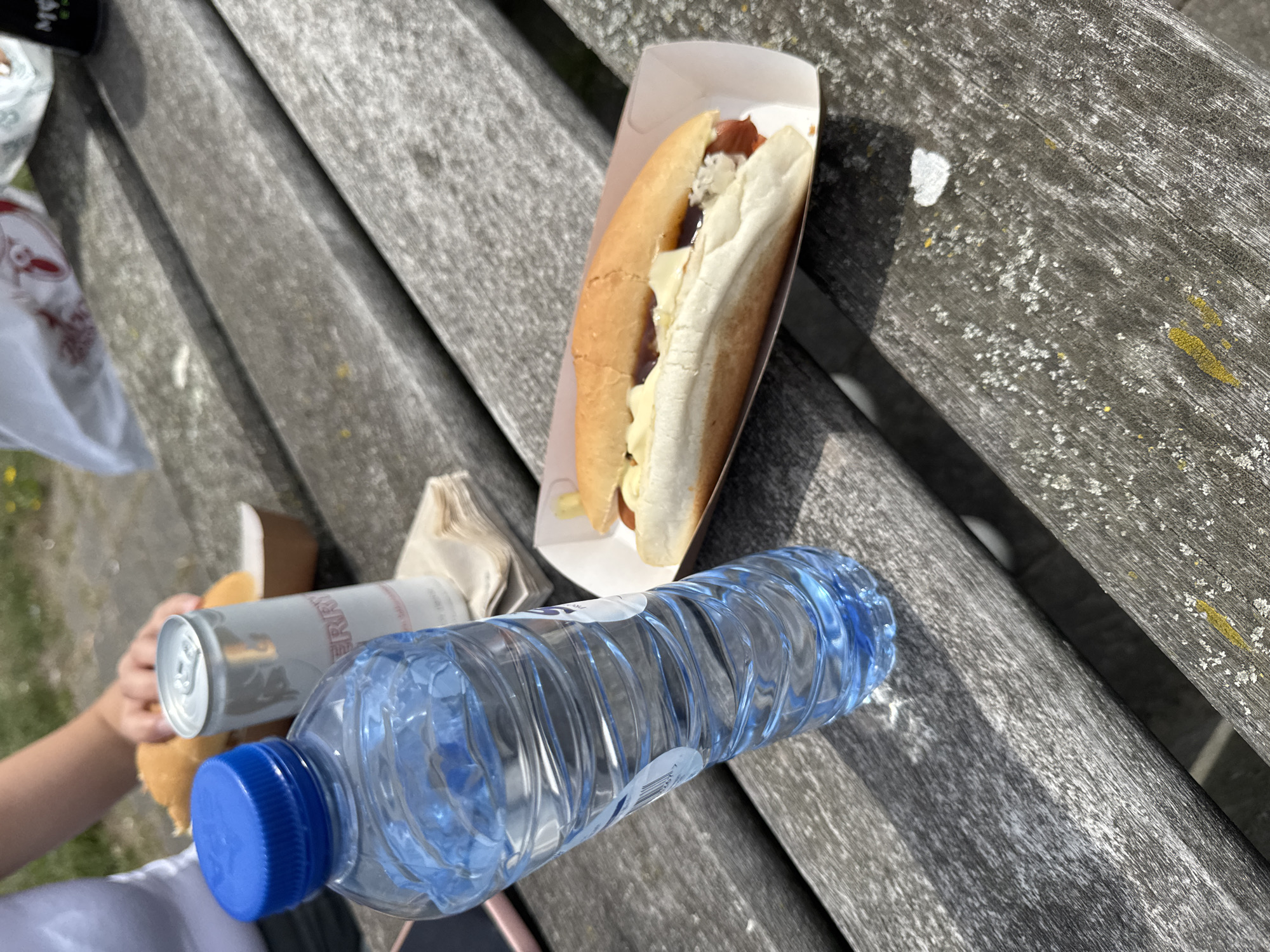 A close-up, outdoor, eye-level shot captures a portion of a picnic table in Leiderdorp, Netherlands. The wooden table is weathered and gray, with visible grain and scattered white and yellow markings.
In the foreground, a clear plastic water bottle with a blue cap is prominently positioned, its ribbed surface reflecting the sunlight. To the right of the bottle, a hot dog sits in a white cardboard tray. The hot dog is nestled in a bun, topped with what appears to be mustard and possibly relish or a similar sauce.
Behind the water bottle, a silver can with a white label is partially visible. Further in the background, a person's arm, clad in a white shirt, is resting on the table, suggesting human presence. The background is softly blurred, showing hints of greenery. The overall impression is of a casual outdoor meal.