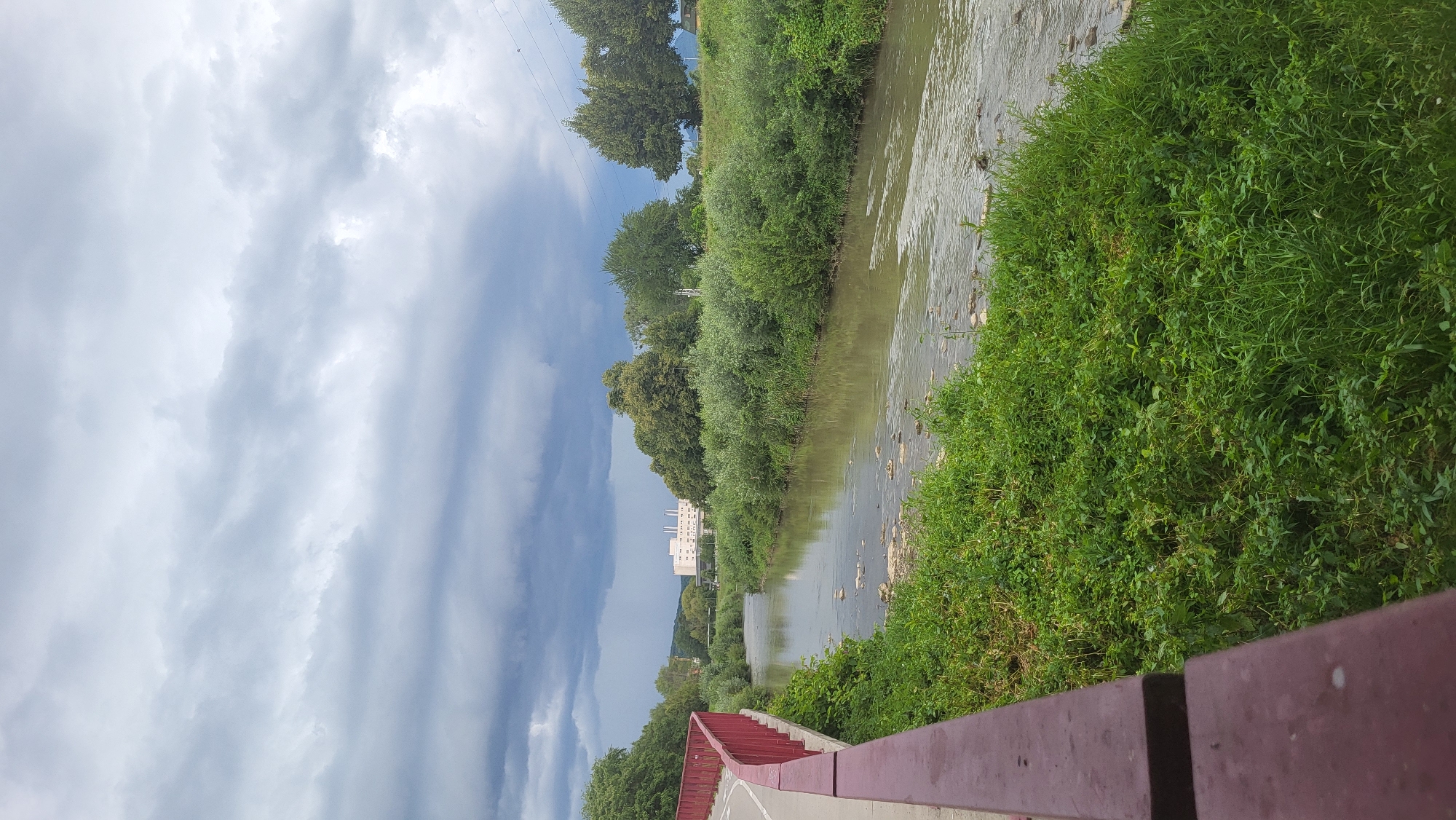 The image depicts a view of the Torysa River in Prešov, Slovakia, on an overcast day. The river flows through a green, vegetated landscape, with trees lining its banks. In the distance, a large, white building complex, likely industrial or institutional, is visible. A paved pathway with a red railing runs along the left side of the riverbank in the foreground. The sky is filled with dark, dramatic clouds, suggesting a possibility of rain. The river itself appears somewhat murky, with scattered rocks and debris visible in the shallow water. The overall scene is natural and slightly unkempt, with an emphasis on the river and its surrounding flora. There are no people visible in the image.