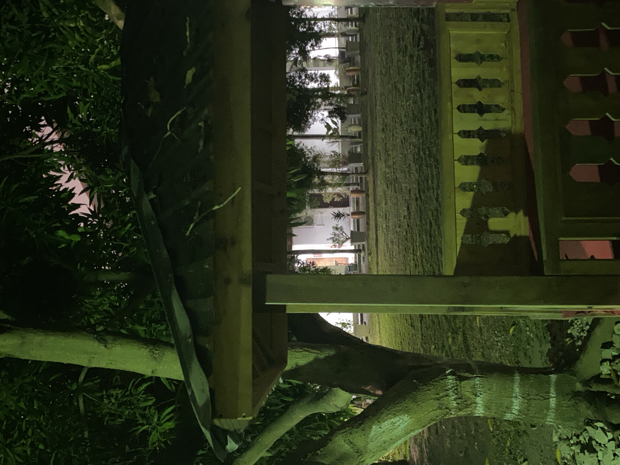 A nighttime scene captured from under a wooden gazebo reveals a well-maintained lawn in front of a building with a row of potted plants and trees. The gazebo's roof is visible in the foreground, as is a portion of its wooden structure and ornate railing. The area is illuminated by artificial lighting, casting green hues across the foliage and the ground. To the left, a large tree trunk with visible white markings stands prominently. The building in the background appears to be a single-story structure with windows and doors. The overall impression is of an outdoor seating or recreational area, possibly a garden or a park.