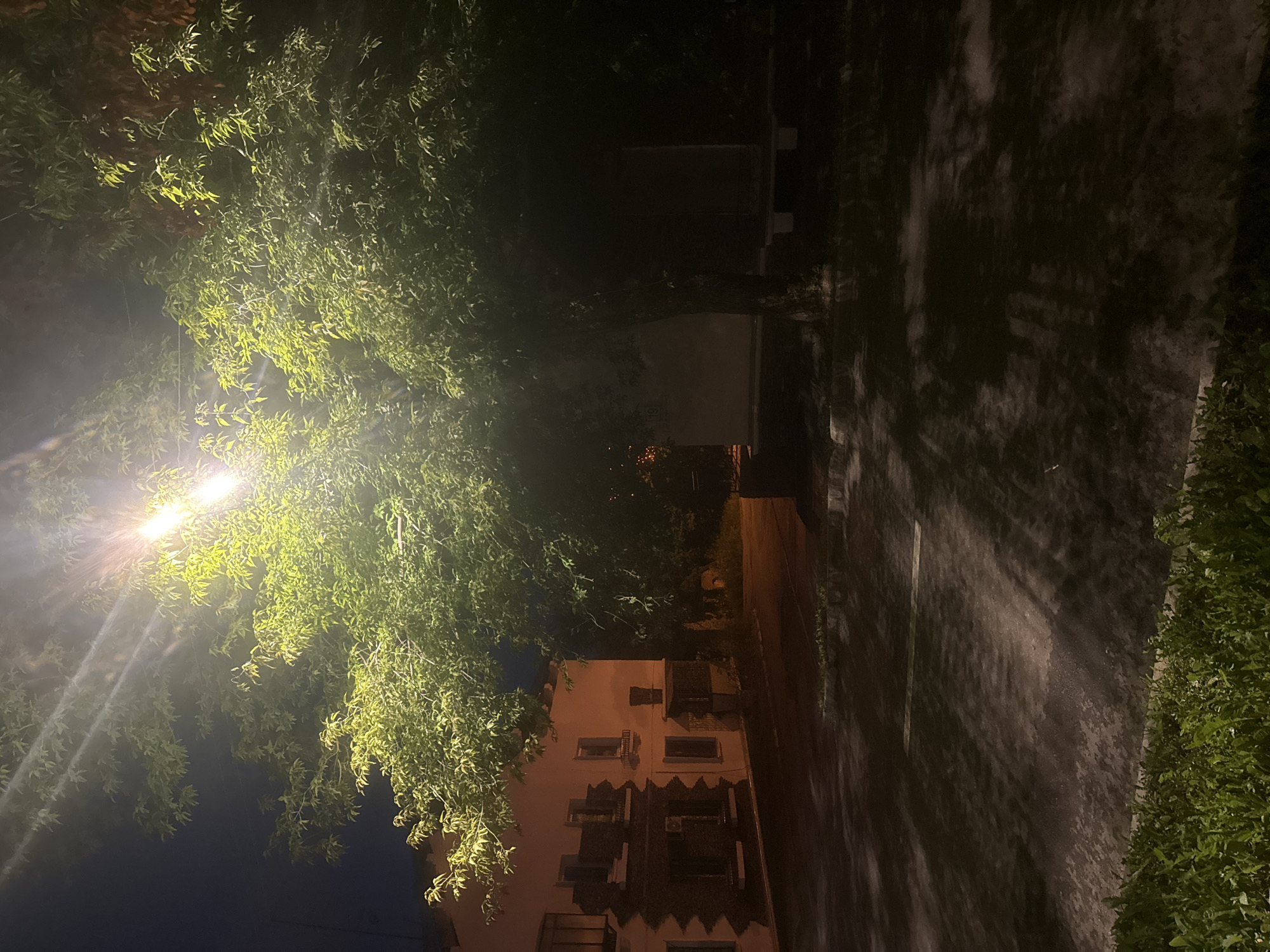 The image depicts an outdoor scene at night, illuminated by a street lamp. A large tree with lush green foliage dominates the foreground, its branches casting intricate shadows on the paved ground. To the left, a building with multiple windows and brick detailing is visible. The environment appears to be a public space, possibly a courtyard or a street. There are no people or discernible actions in the image. The location is identified as Magnitogorsk, Russia, suggesting a possible urban or semi-urban setting.