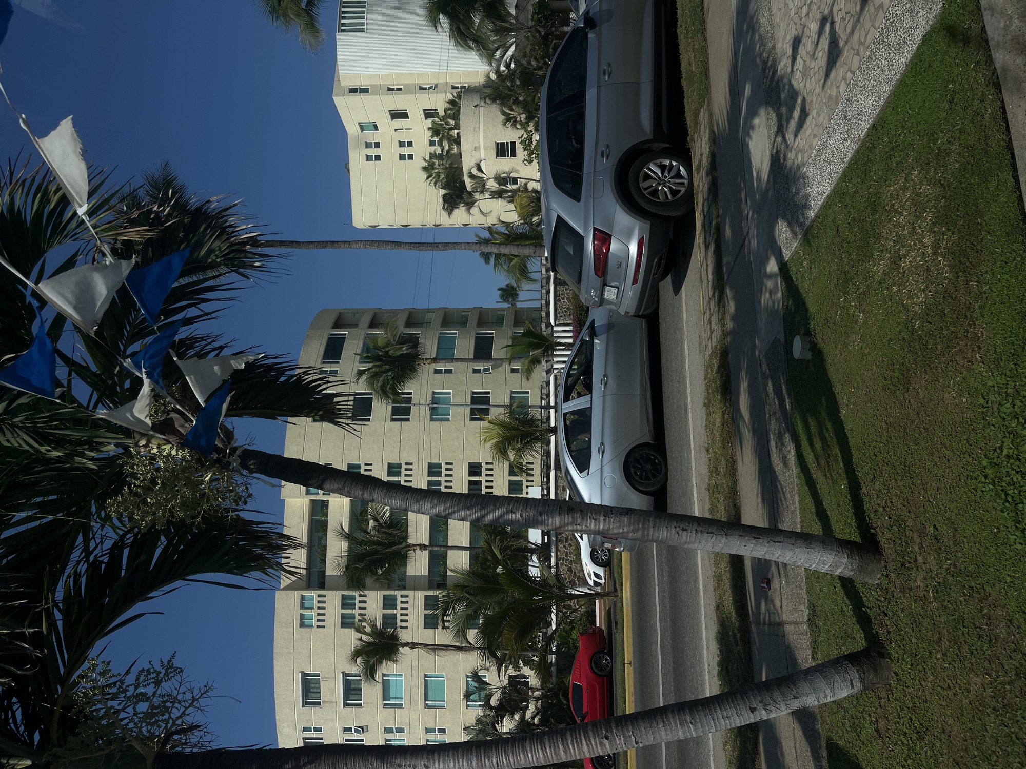 The scene depicts a street in Acapulco de Juárez, Mexico, lined with palm trees decorated with blue and white flags. The trees obscure a view of tall, beige apartment buildings. Parked along the curb are several cars, including a silver SUV, a silver sedan, a white car, and a red car. The sidewalk is adjacent to a green grassy area. The sky above is clear and blue.