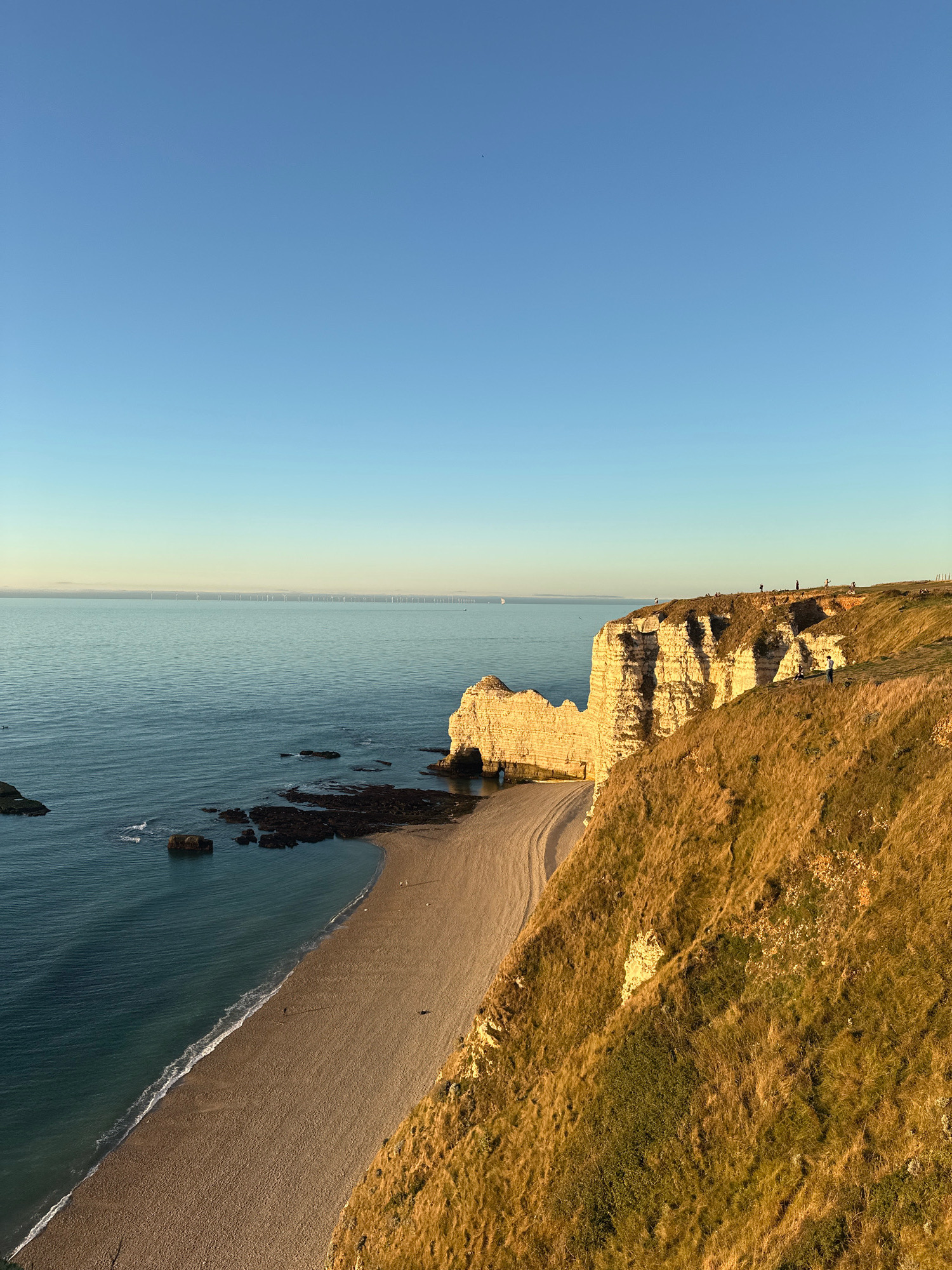 The image depicts the iconic chalk cliffs of Étretat, France, at what appears to be sunset. The scene is dominated by the vast expanse of the English Channel on the left, its surface a calm, deep blue reflecting the clear, pale blue sky. A shingle beach curves along the base of the cliffs, with small waves gently lapping the shore. Several dark, rocky outcrops protrude from the water near the beach.
The cliffs themselves are the focal point of the right side of the image. They are towering, white chalk formations, weathered and eroded into dramatic shapes, including a prominent archway carved into the cliff face. The grassy slopes leading up to the cliff tops are covered in dry, golden-brown vegetation, illuminated by the warm, low-angled sunlight.
Several small figures of people can be observed on the cliff tops, appearing as silhouettes against the sky, suggesting they are walking or admiring the view. One or two figures are also visible on the beach. In the distance, a line of wind turbines stretches across the horizon over the sea, hinting at a modern industrial presence against the natural landscape. The overall impression is one of natural beauty and dramatic coastal scenery.