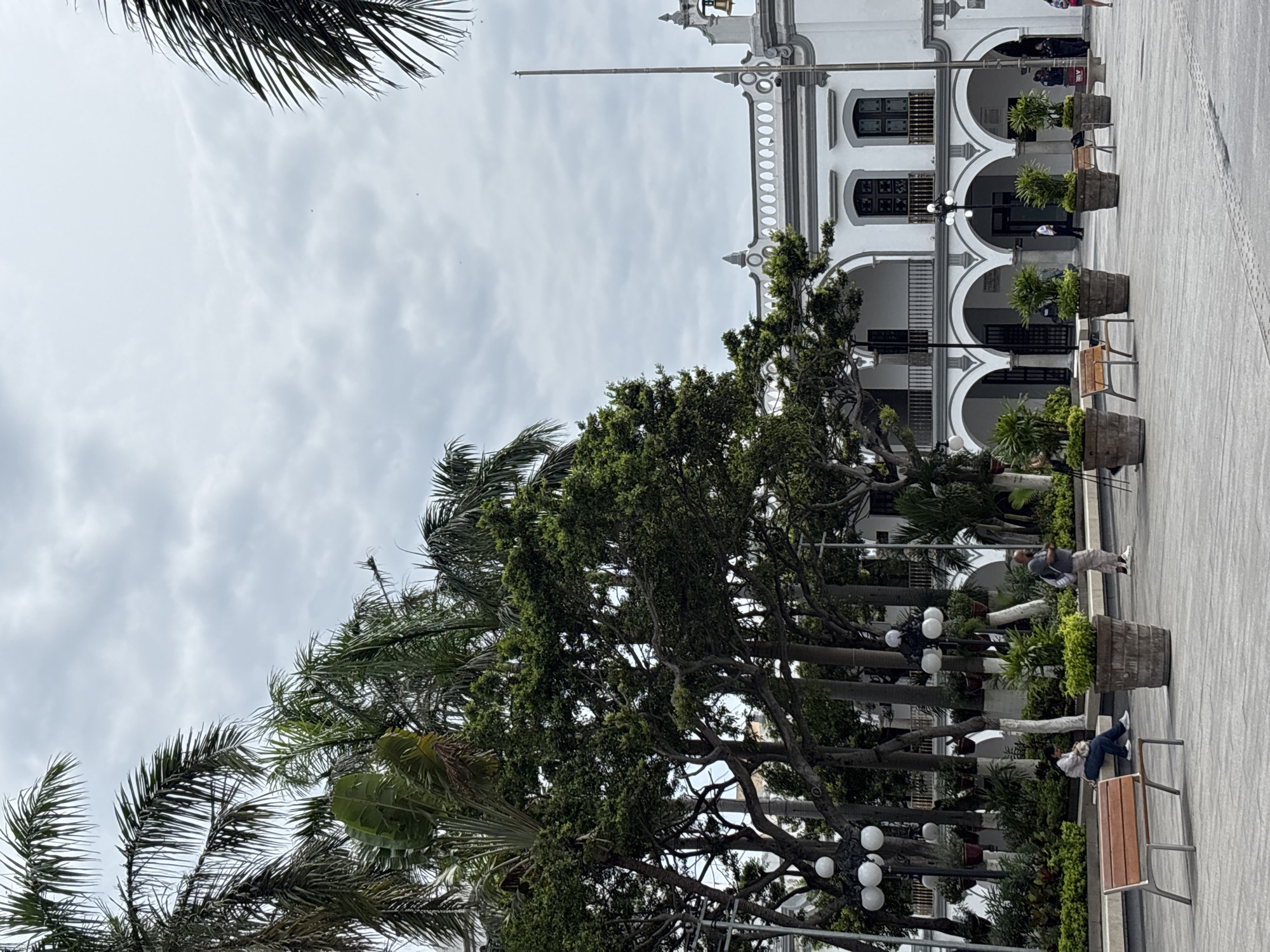 This is an outdoor, eye-level, medium shot of a public plaza in Veracruz City, Mexico. The scene is dominated by a large, white colonial-style building with arched walkways on the ground floor and balconies on the second floor. Palm trees and lush green trees with thick foliage flank the building and the plaza. The sky is overcast with gray clouds.
In the foreground, a paved plaza area shows several large, aged planters filled with green plants. A light-brown wooden bench with a metal frame sits in the lower left of the frame. A woman is seated on this bench, facing away from the camera, holding a white bag. To the right of the bench, a large, weathered planter stands. Further into the plaza, to the right, a man wearing a light-colored shirt and patterned pants stands looking towards the building. He appears to be holding a phone or camera.
The building features decorative white trim along the roofline, with evenly spaced circular elements. A tall, thin flagpole stands to the right of the building's entrance. Multiple arched openings lead into the building, with dark doorways visible inside. Several potted plants are placed in front of these arches. More people, appearing as distant figures, are visible near the building entrances and further back in the plaza. The overall impression is a tranquil, urban public space with significant historical architecture and abundant vegetation.