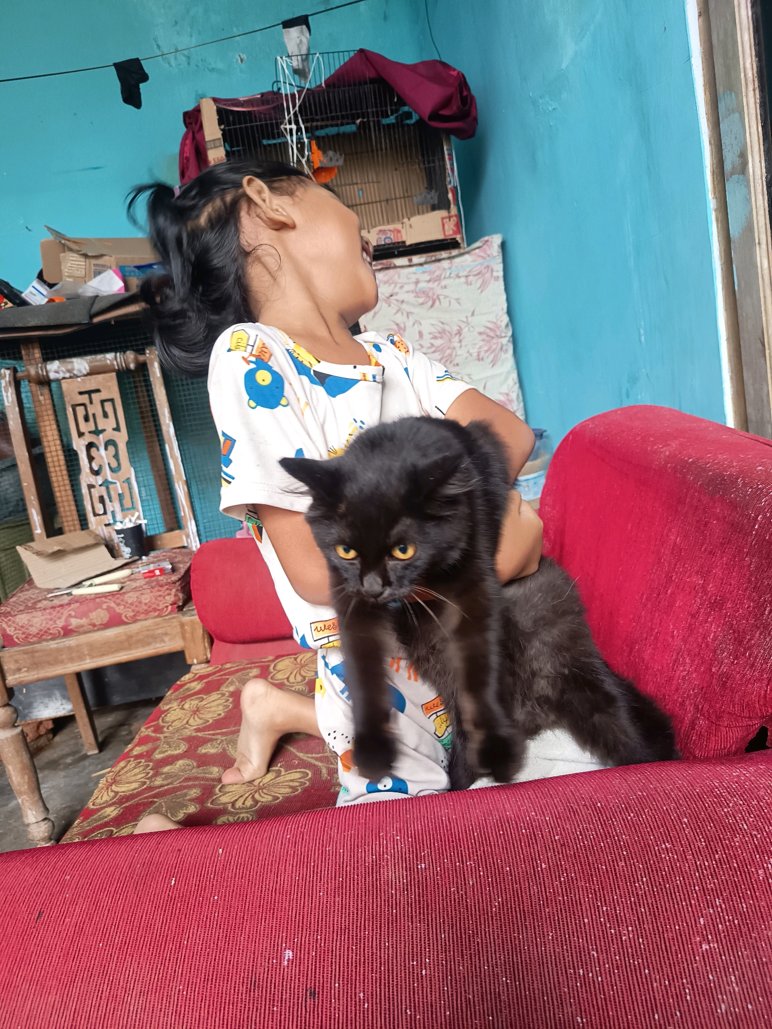 In a room with teal walls, a young girl with black hair pulled back in a ponytail is sitting with a black cat. The girl is wearing a white t-shirt with blue and yellow cartoon characters. She is holding the cat, which has yellow eyes and appears somewhat displeased. The cat is perched on her lap and partially on a red sofa. To the left of the girl is a wooden chair with a red cushion. Behind the girl, a birdcage with a maroon cloth draped over it is visible, along with some cardboard boxes. The floor is covered by a patterned rug. The scene appears to be indoors, possibly in a residential setting in Kalipenggung, Indonesia.