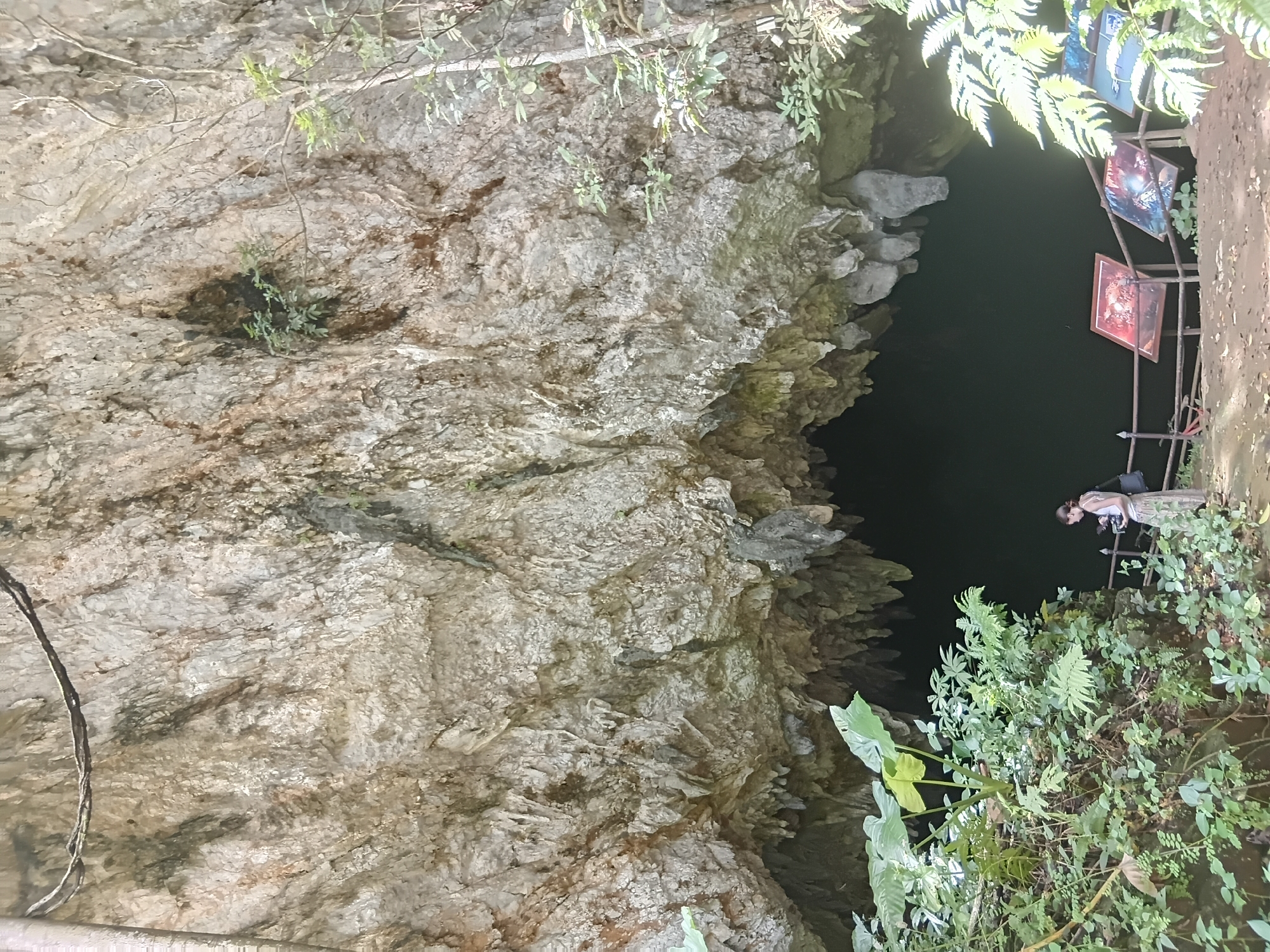 A person stands near the entrance of a large cave in Mae Sai District, Thailand. The cave opening is dark and appears to be a deep cavern. The exterior of the cave is a rough, textured rock face with visible stalactites hanging from the ceiling. The area in front of the cave is surrounded by lush green foliage, including large-leafed plants and ferns. A wooden railing guides visitors towards the cave entrance, and several informational displays are positioned along the path. The person, a woman wearing a patterned skirt and a light-colored top, is holding what appears to be a camera and looking towards the cave.