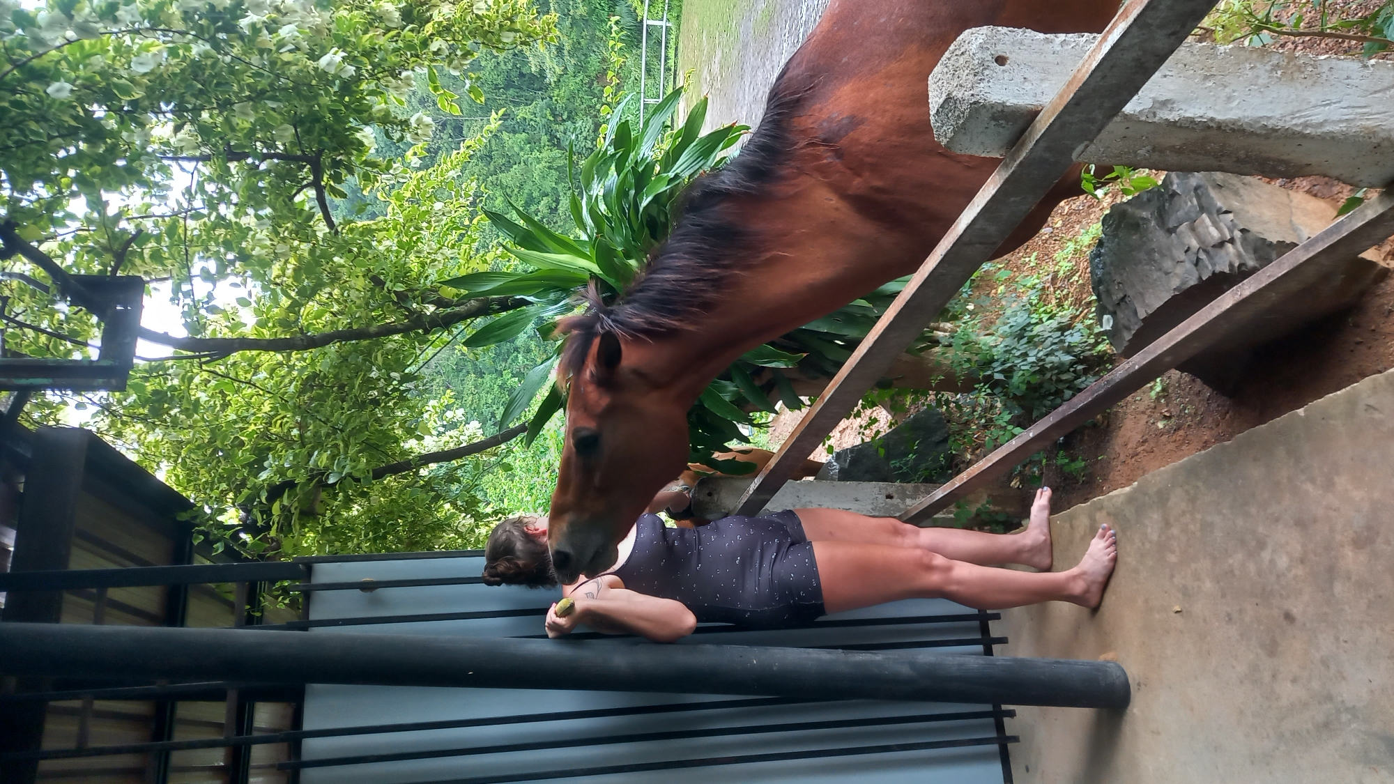 A woman is lying on her side on a concrete surface, wearing a dark-colored one-piece swimsuit. She is barefoot and appears to be offering food from her hand to a brown horse that is leaning over a railing towards her. The scene is set outdoors in Ban Tak Daet, Thailand. Behind the horse and railing is a lush green environment with plants and trees. A building with a dark grey exterior is visible to the left of the woman.