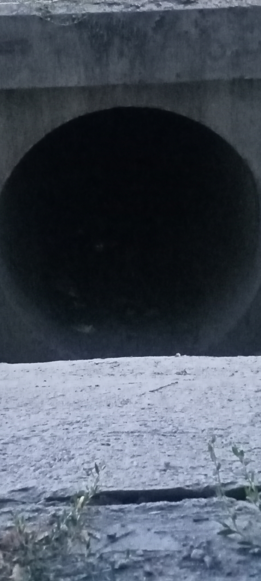 The image depicts a concrete culvert entrance, a common urban infrastructure element, located in the city of Romanovka, Kyrgyzstan. The culvert opening is circular and appears dark, suggesting it leads to an enclosed space or is in shadow. The surrounding area is composed of concrete and gravel, typical of roadside or utilitarian areas in a city. In the foreground, a few sparse, dry plants are visible, indicating a somewhat arid or neglected environment. The lighting suggests it is daytime, but the overall tone is muted and somewhat bleak, possibly due to overcast weather or the nature of the materials. There are no people or animals immediately visible in the frame. The scene is static and unremarkable, characteristic of the unadorned, functional aspects of an urban landscape.