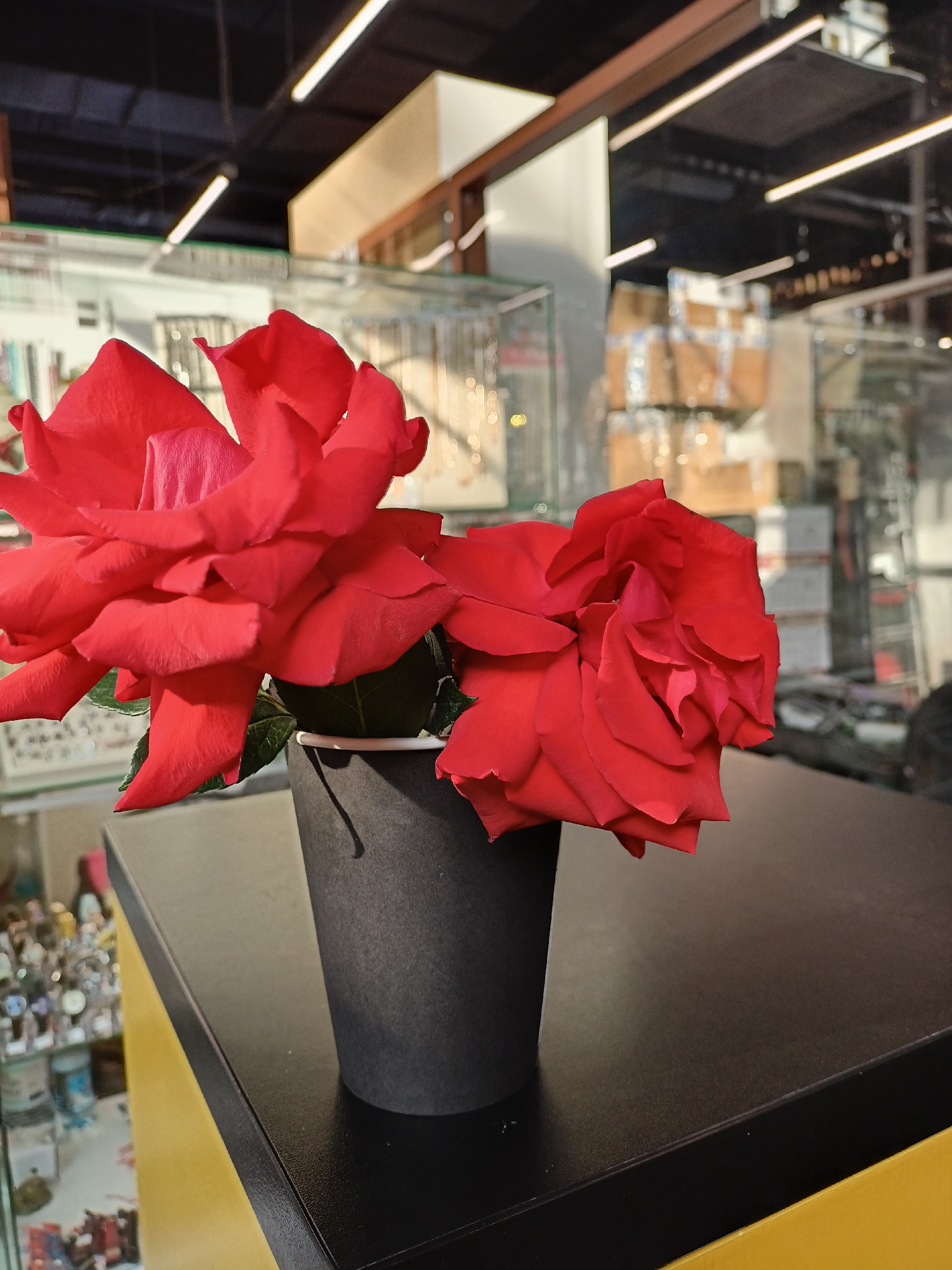 Two red roses are in a black paper cup on a dark table with a yellow edge. The background features glass display cases with various objects inside. The location is Novosibirsk, Russia, indicated by Cyrillic text on the display case labels in the background. The lighting suggests an indoor retail setting with fluorescent lights on the ceiling. No people are visible in the foreground, but the background suggests a populated environment.