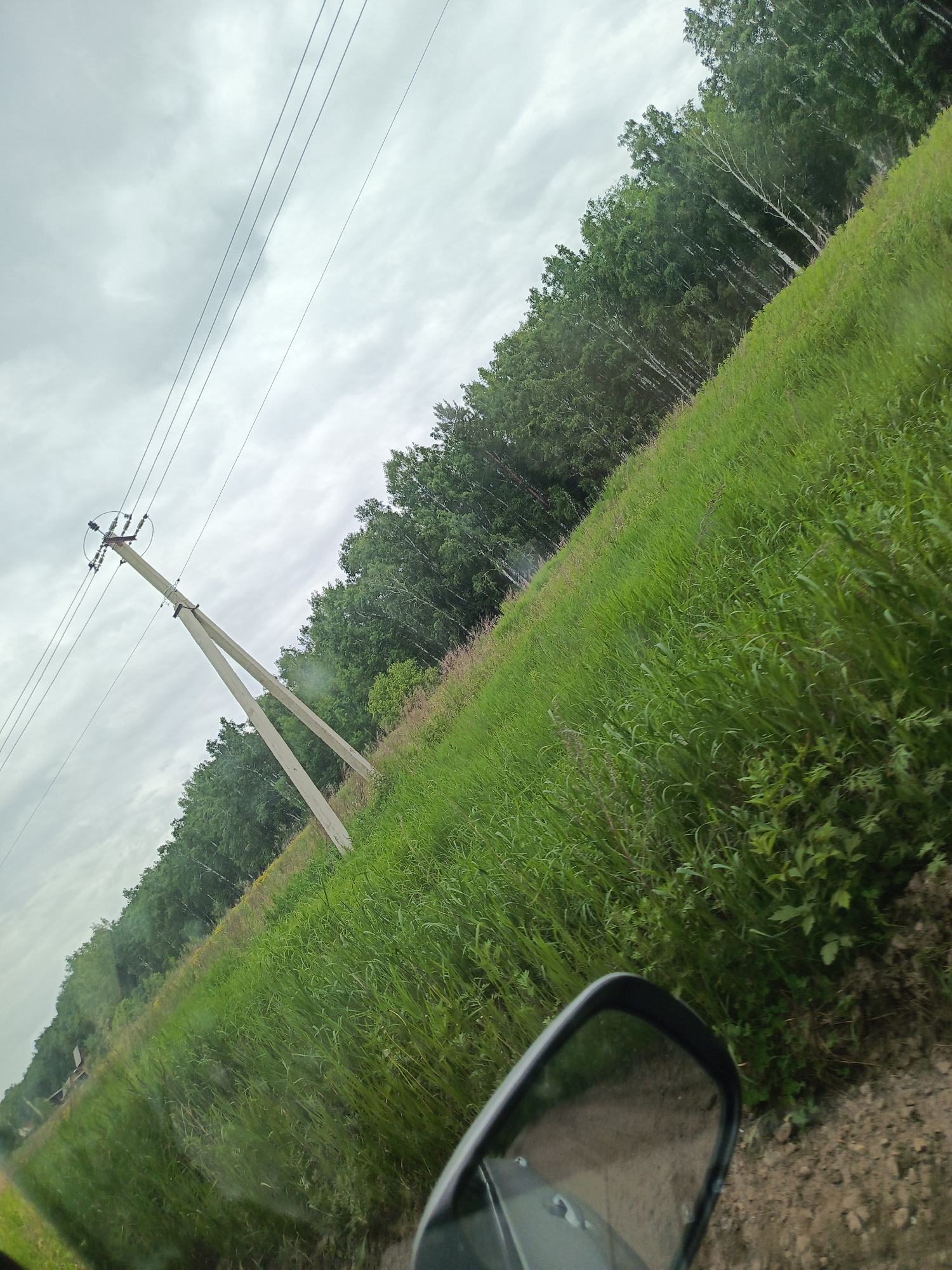 The image captures a rural landscape, likely on the outskirts of Meget, Russia, given the characteristic birch trees and power lines. The scene is dominated by a tall, angled concrete power pole with multiple lines extending from its top, disappearing into a cloudy sky. To the right, a dense line of trees, primarily birch with their distinctive white bark, forms a backdrop to a vibrant green grassy field. The field slopes upwards and appears overgrown with tall grasses and some scattered wildflowers. In the foreground, the reflection of the sky and surrounding environment is visible in a car's side-view mirror. The overall impression is one of a natural, somewhat wild setting under an overcast sky, suggestive of a moment captured during travel.