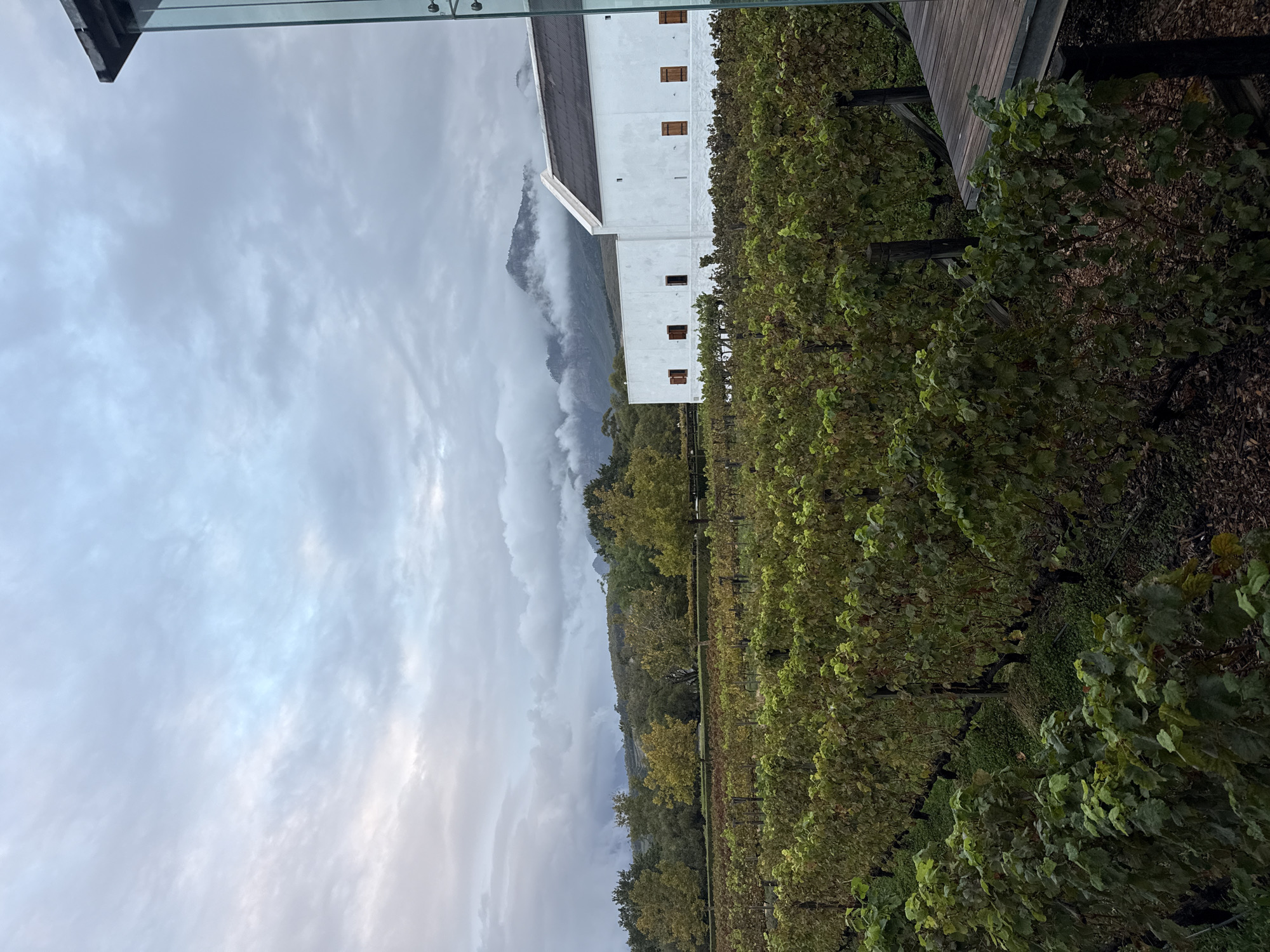 A serene landscape photograph, captured from an elevated perspective, showcases a vineyard in Drakenstein Nu, South Africa, under a cloudy sky. In the foreground and extending into the midground, vibrant rows of grapevines with green and yellowing leaves dominate the right side of the frame. To the left, a prominent, large white building with a dark roof and numerous small, rectangular windows—some featuring wooden shutters—stands out, typical of a winery or farm structure.
Behind the building and stretching across the horizon, majestic mountains are partially obscured by atmospheric low-hanging clouds and mist, suggesting an overcast or damp day. Trees are visible at the foothills of the mountains. A section of a wooden deck or balcony with a glass railing is visible in the top right corner, indicating the photographer's vantage point. The soft, diffused light suggests the time of day could be early morning or late afternoon.
No people are present, and there is no visible text in the image. The scene evokes a tranquil and atmospheric mood, highlighting the natural beauty and agricultural character of the region.