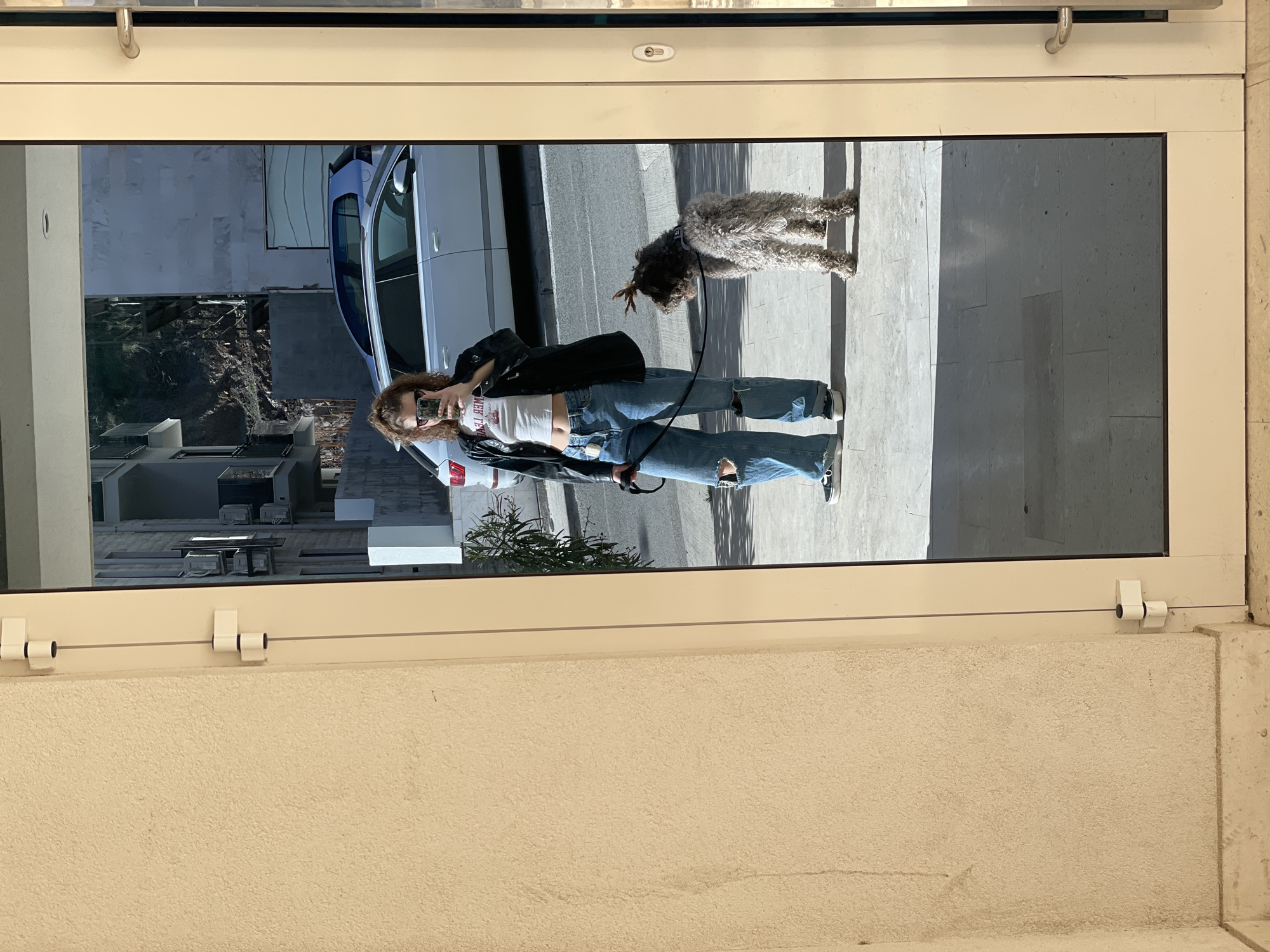 The reflection in a window shows a young woman taking a selfie. She is wearing a white top, a black jacket, blue jeans with rips, and sneakers. She has long, wavy brown hair. She is holding a mobile phone up to her face. Next to her is a medium-sized dog with shaggy grey and brown fur. A parked car is visible behind her. Across the street, in Boreti, Montenegro, there are buildings and greenery. The window is framed in a light beige material, possibly a building's exterior wall.