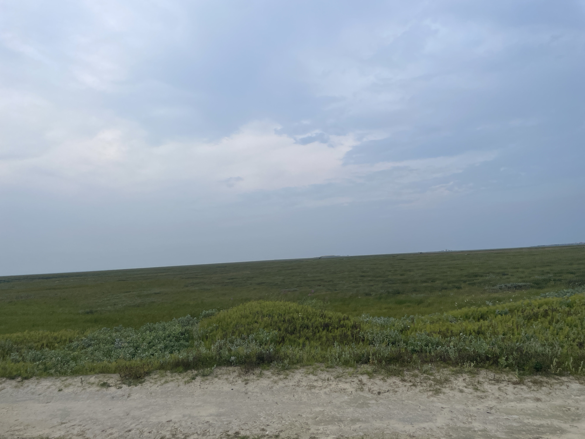 An open, grassy field stretches towards the horizon under a cloudy sky. The foreground features a dirt path with sparse vegetation. The middle ground is dominated by green grass, with patches of lighter green and some darker, taller plants forming a slightly raised mound. The background shows a vast, flat expanse of grass meeting a hazy horizon. The sky is overcast with soft, greyish-blue clouds. The scene is devoid of people and structures, suggesting a natural, undeveloped area. The overall impression is one of a wide, natural landscape with a muted color palette.