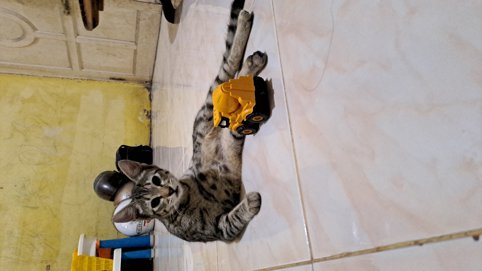 A tabby cat with grey and black stripes is lying on a tiled floor in a room. The cat is resting its front paws, and its tail is extended to the right. Next to the cat is a small, yellow toy cement mixer truck. In the background, there is a yellow wall with some scribbled drawings, a white door, and some other objects including what appear to be helmets and a yellow plastic basket. The lighting suggests it is indoors during the day or evening. The scene does not provide specific clues about the city of Lhokaweawe, Indonesia, but it depicts a domestic indoor environment.