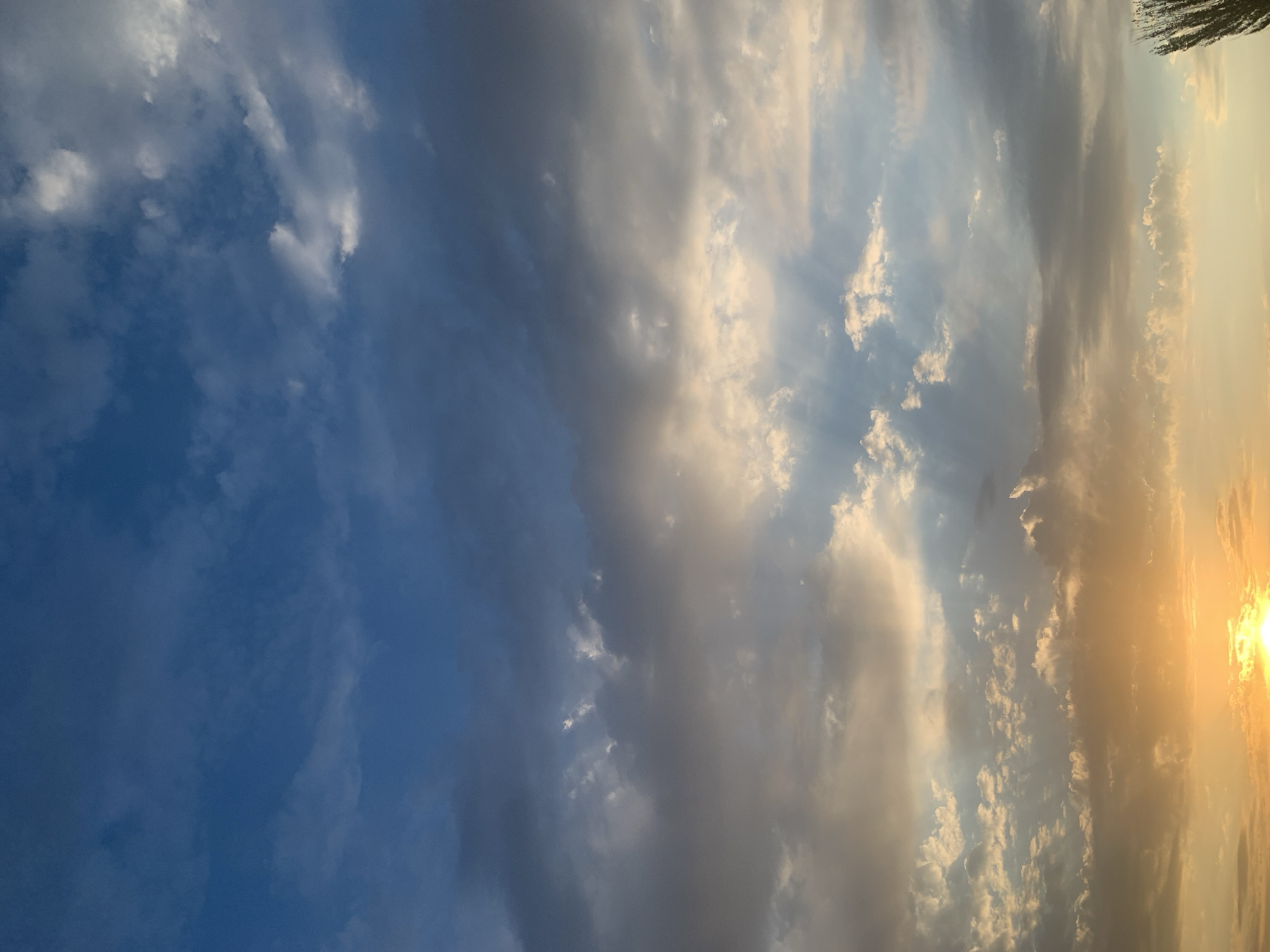 The image captures a dramatic sunset in the city of Ak-Jol, Kyrgyzstan. The sky is filled with a variety of clouds, ranging from dark, ominous formations to lighter, wispy ones illuminated by the setting sun. Rays of light break through the clouds, creating a breathtaking spectacle. The lower portion of the image is dominated by the vibrant orange and yellow hues of the sunset, casting a warm glow over the scene. On the far right, the silhouette of a tall, thin tree is visible against the colorful sky. The rest of the landscape is not visible in this shot. There are no people or any discernible man-made structures, focusing solely on the natural beauty of the sky at dusk.