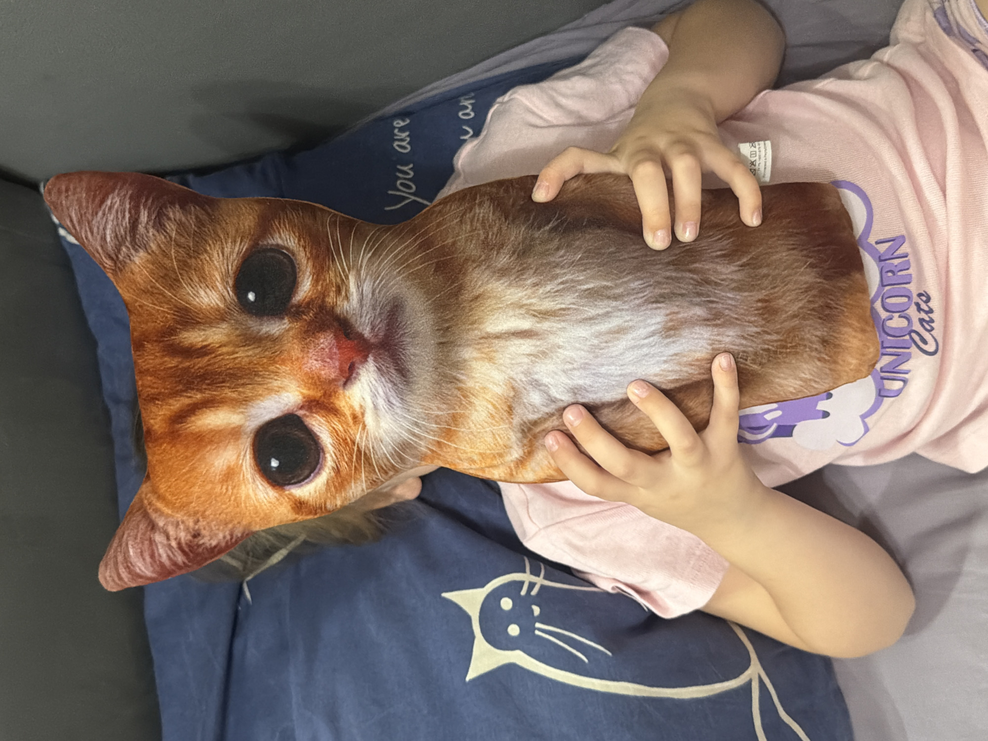 A young individual, gender indeterminate due to obscured facial features, is depicted lying on a bed in an indoor setting in Rostov-on-Don, Russia. The individual is wearing a short-sleeved, light pink t-shirt with a "Unicorn Cats" graphic printed in purple text. Both hands are holding a large, plush, orange tabby cat-face pillow or cushion, positioning it directly in front of their head and upper torso. The cushion features prominent dark eyes, a pink nose, and white facial markings. Visible bedding includes a blue pillow with a white abstract cat silhouette to the left, a blue duvet or sheet covering the bed, and a grey sheet or mattress cover beneath the individual. A grey headboard or wall is visible to the right. To the individual's right, a blue fabric object displays partial white text reading "You are an...". The scene is illuminated by ambient, uniform lighting.