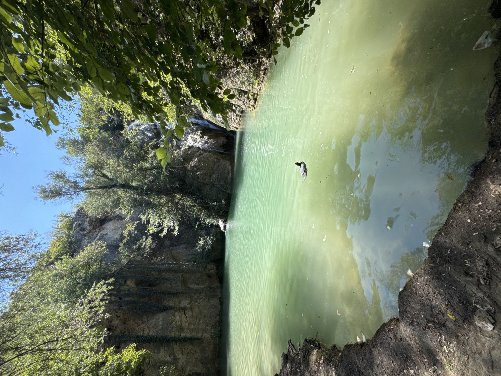 The image shows a natural body of water in Hotnitsa, Bulgaria. The water is a greenish-turquoise color and appears to be a lagoon or pool. In the center of the water, a dark-colored bird, possibly a coot or duck, is swimming. The surrounding environment is lush and green, with trees and vegetation growing on the rocky cliffs that enclose the water. A small waterfall is visible in the background, feeding into the lagoon. The ground in the foreground is dark and earthy, with some scattered leaves and debris. The sky above is clear and blue, indicating a sunny day. The overall scene is serene and natural.
